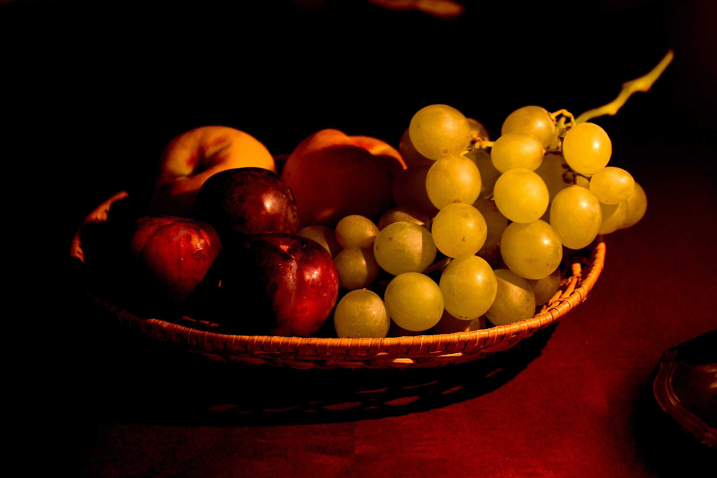 The garden painted IV