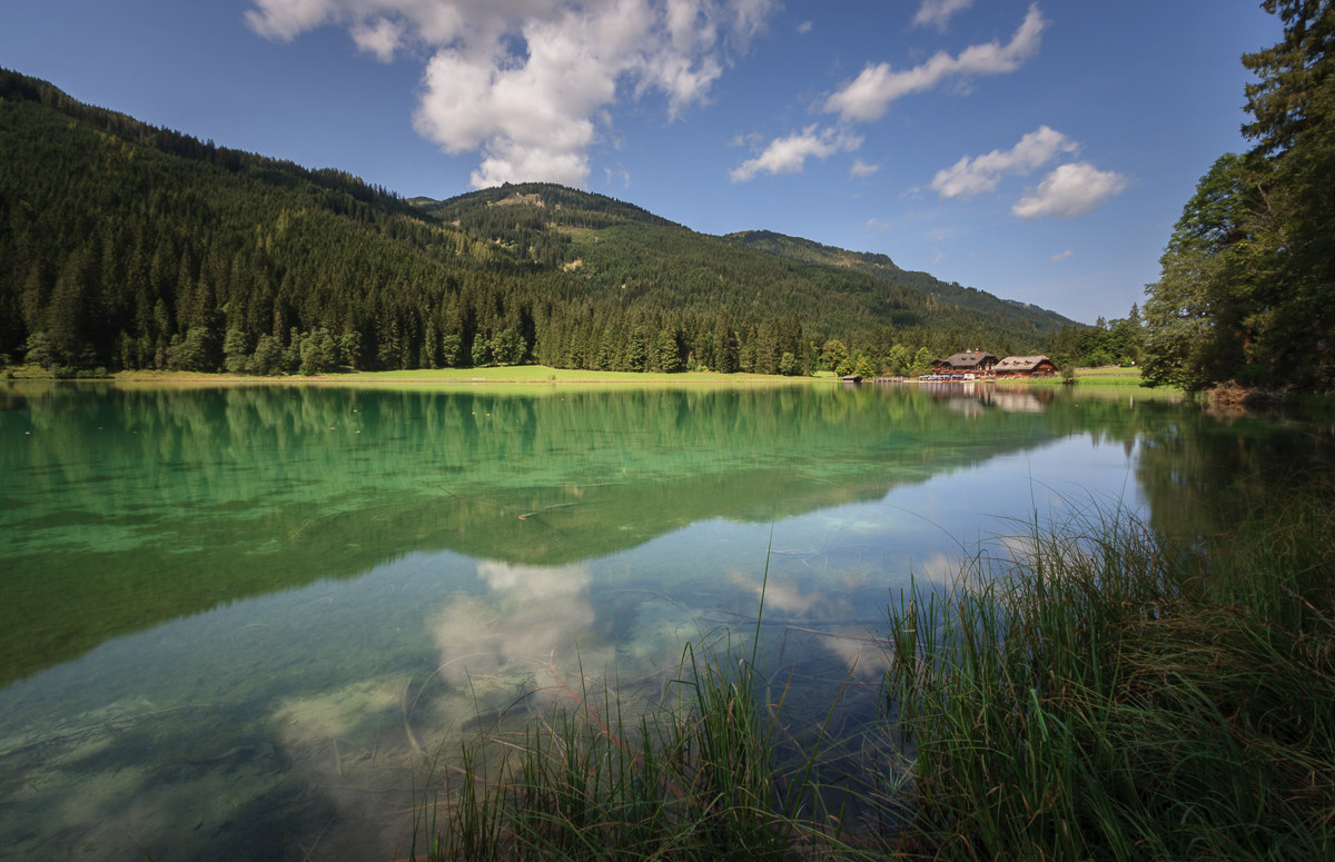 Tutto il verde dello Jagersee ...