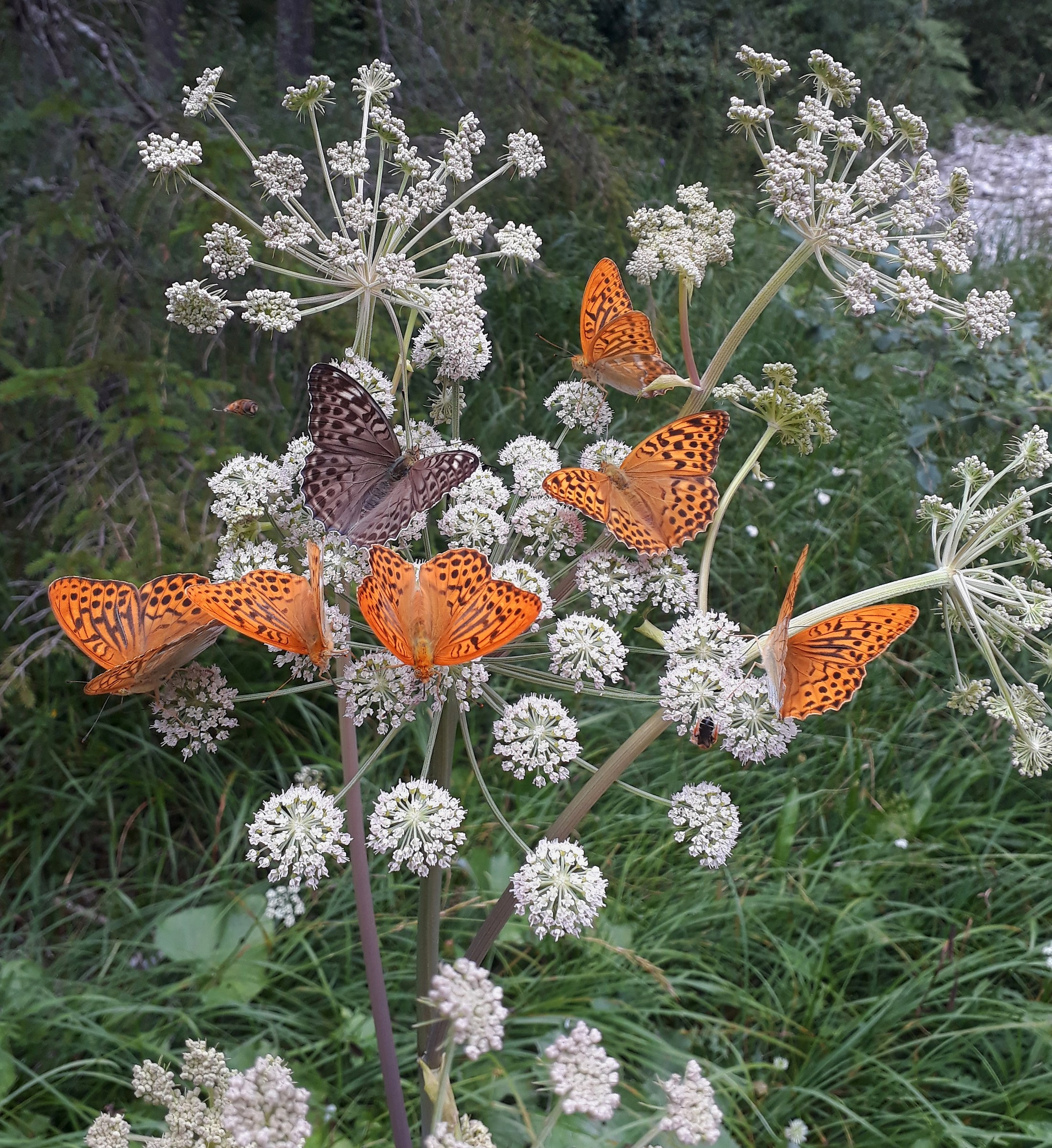 Below to who's touching!