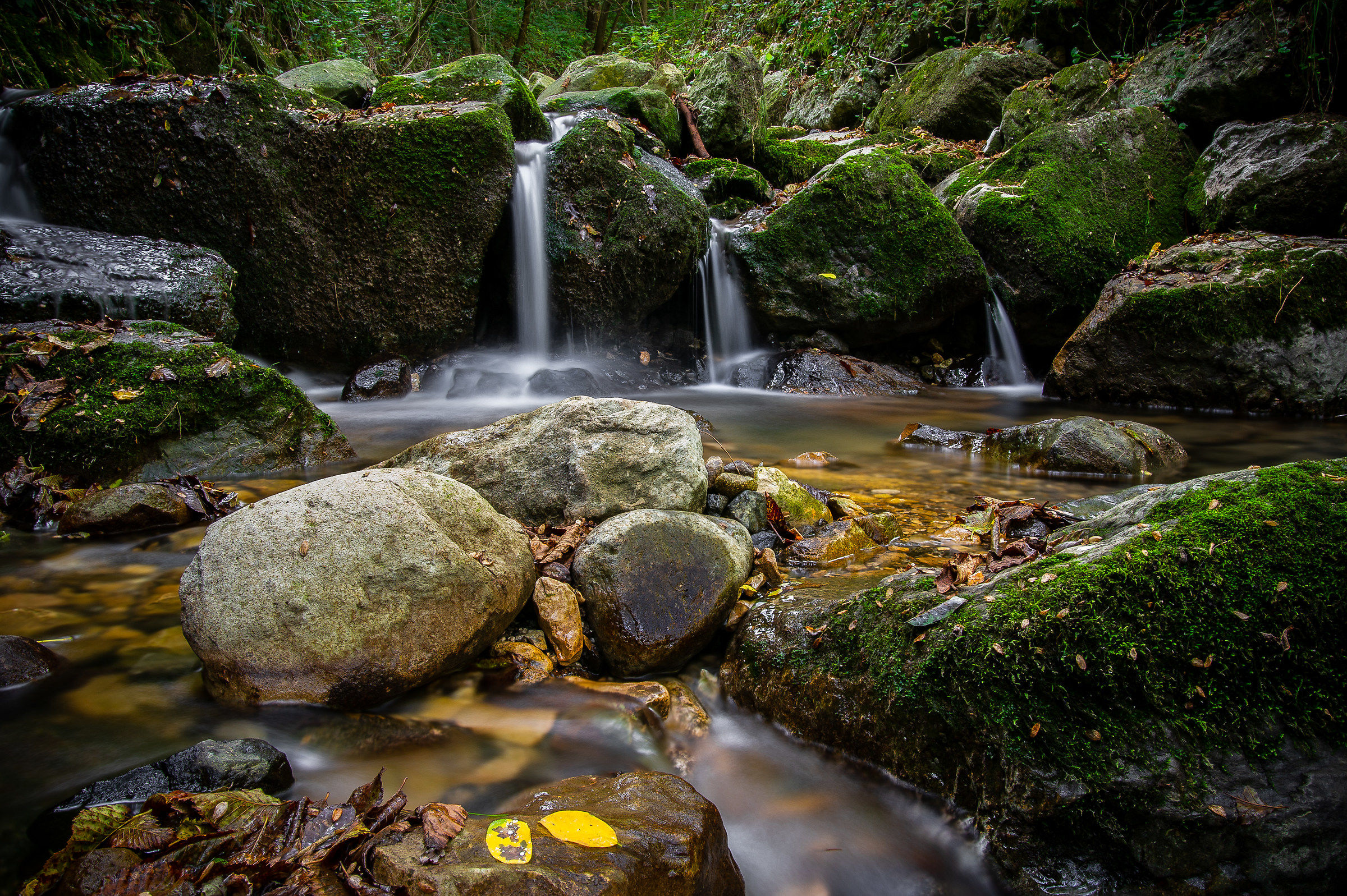 Torrente Sorna Brentonico