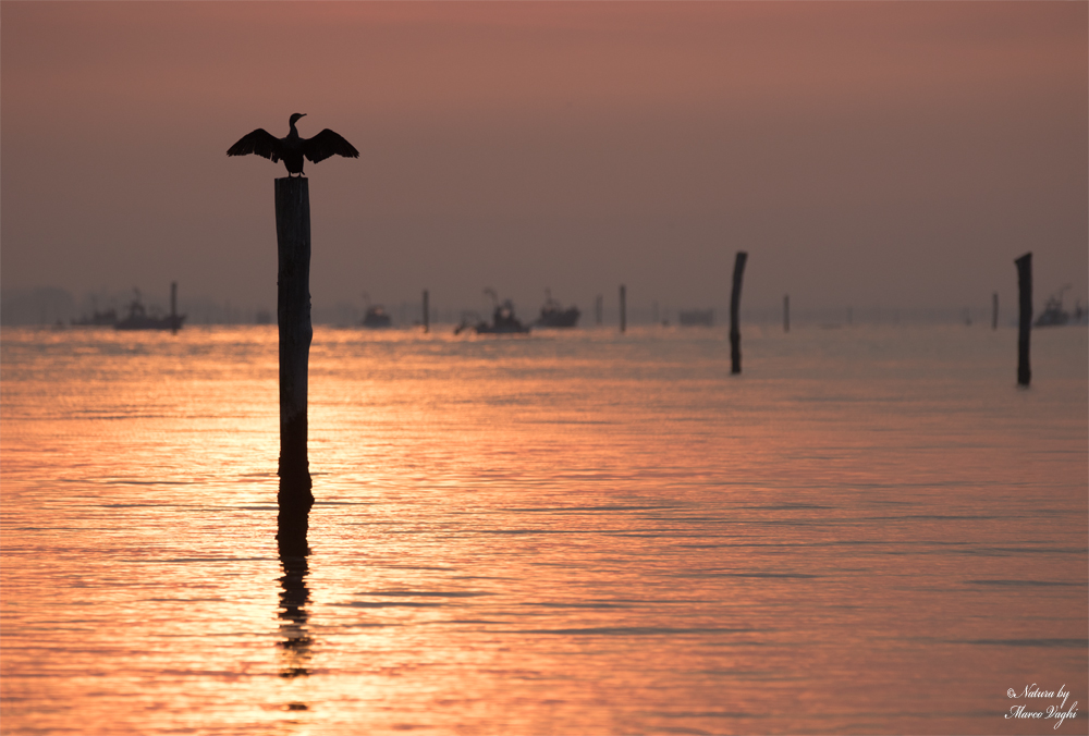 Alba sul Delta del Po