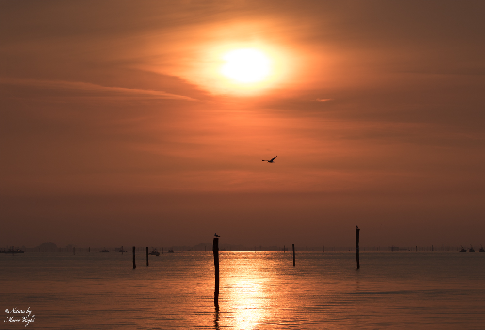 Alba sul Delta del Po