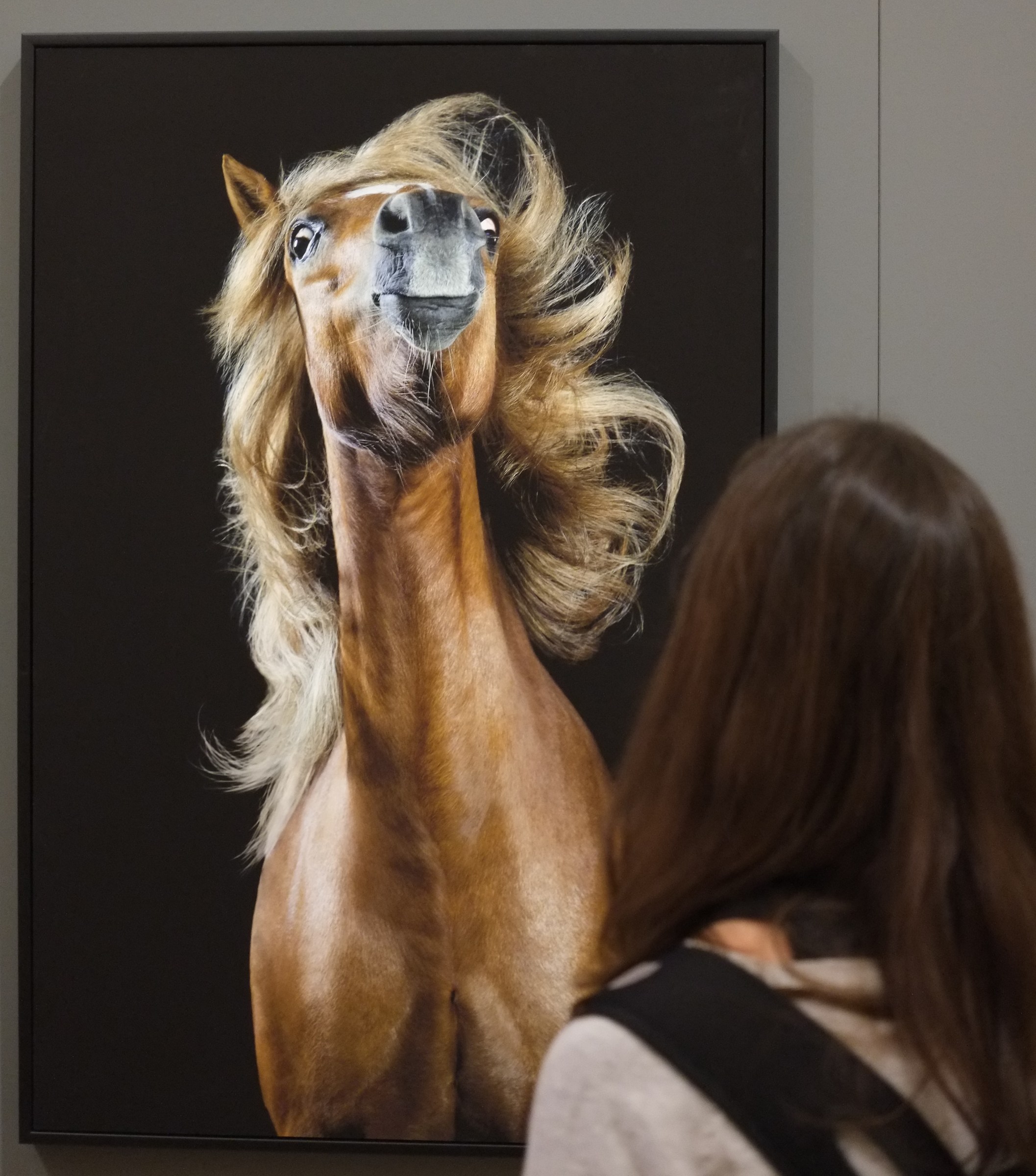 Hair-Picture at an exhibition