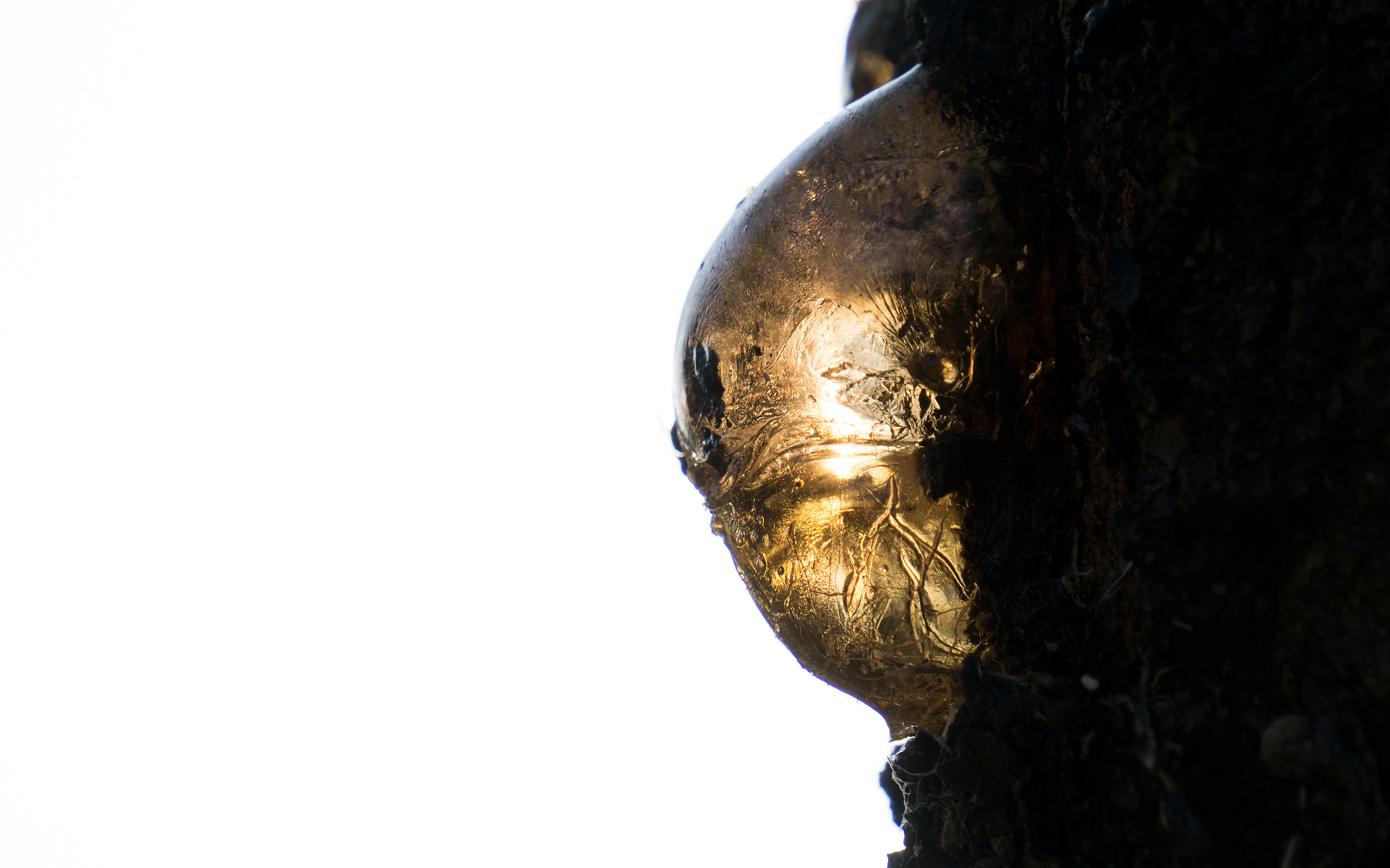 Resina al tramonto 4