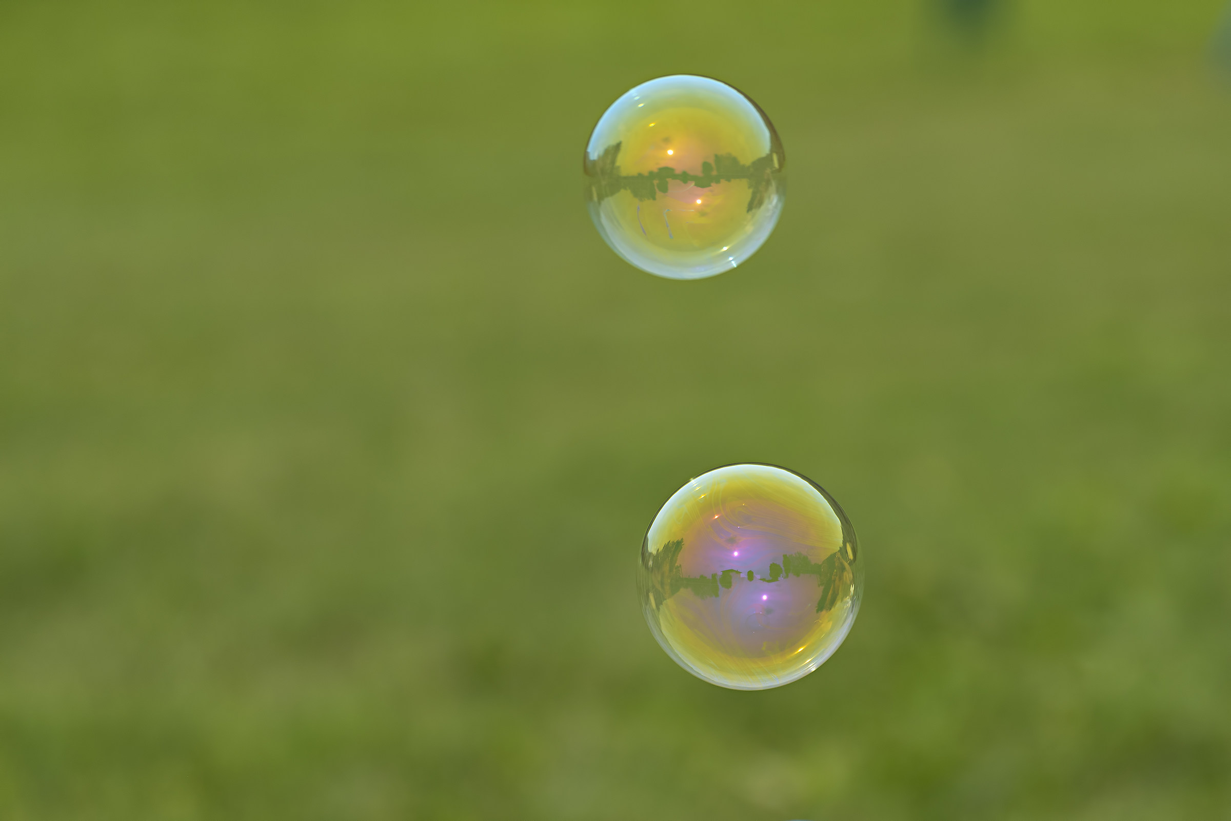 The World in Bubbles