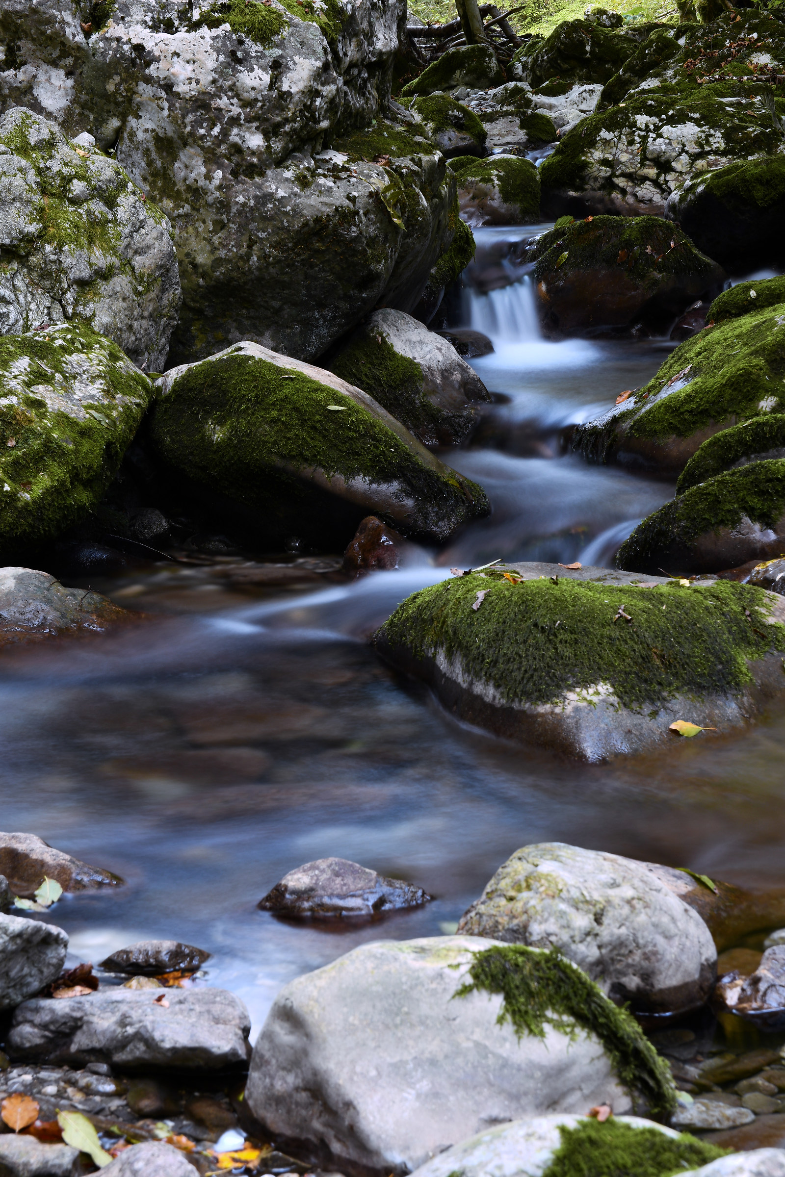 Tentativi di lunga esposizione