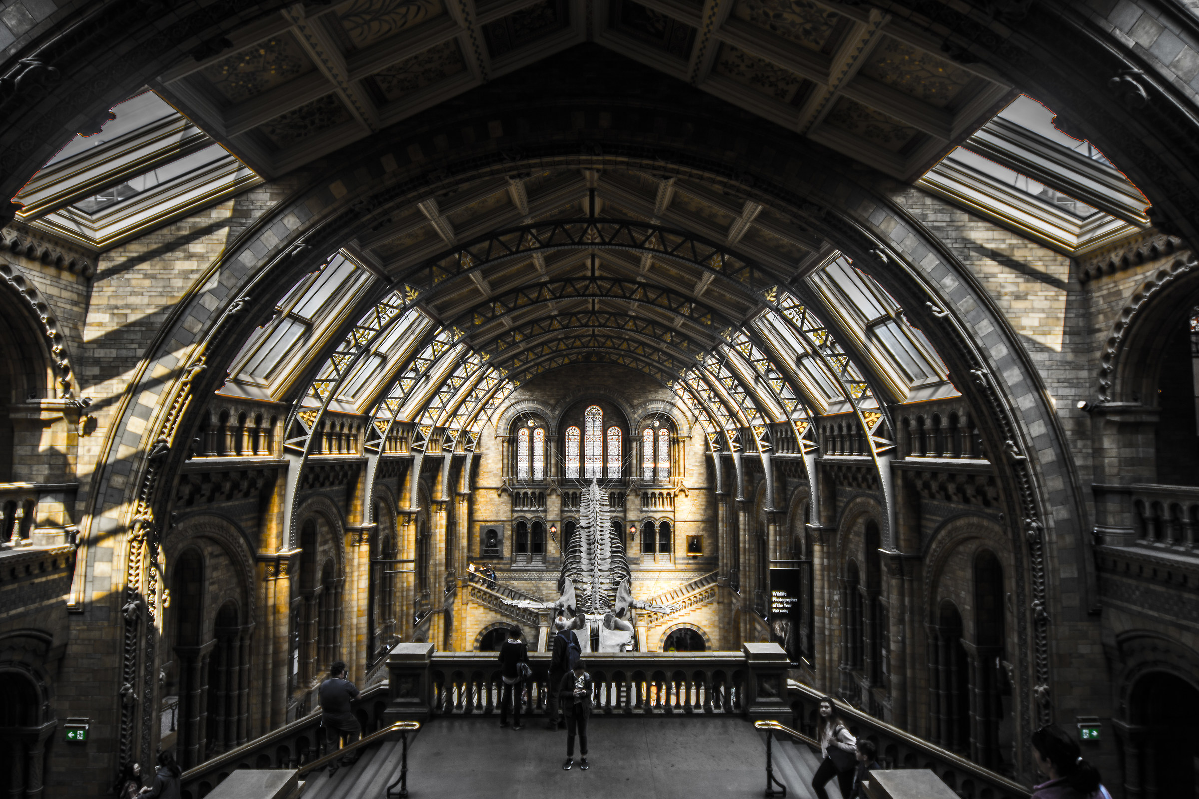 -Natural History Museum-