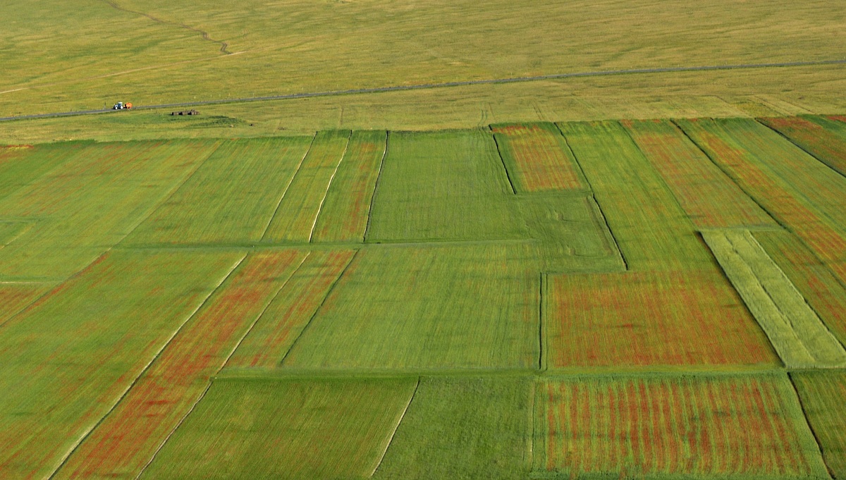Piana di Castelluccio