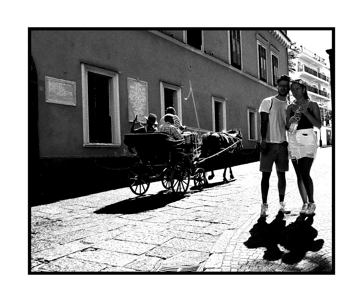 The Visitors