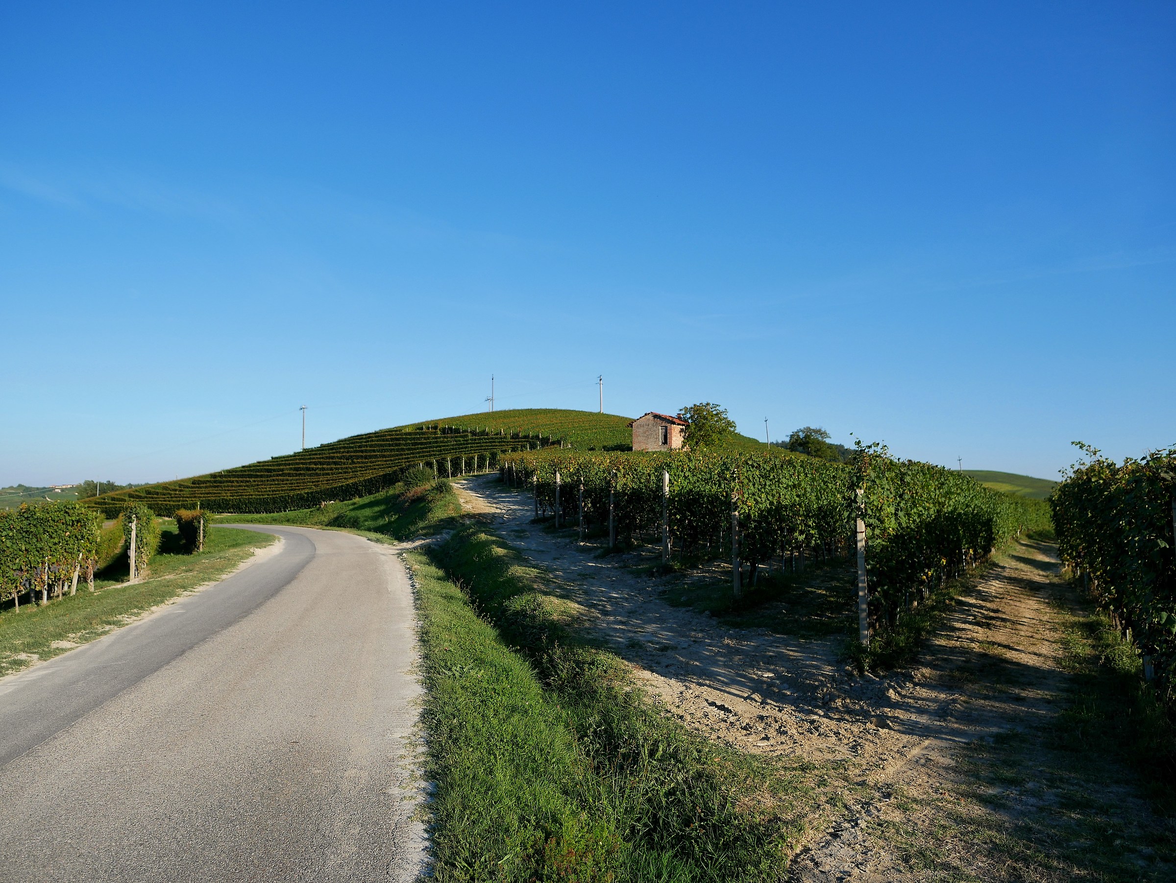 Fermiamoci un istante, ad osservare