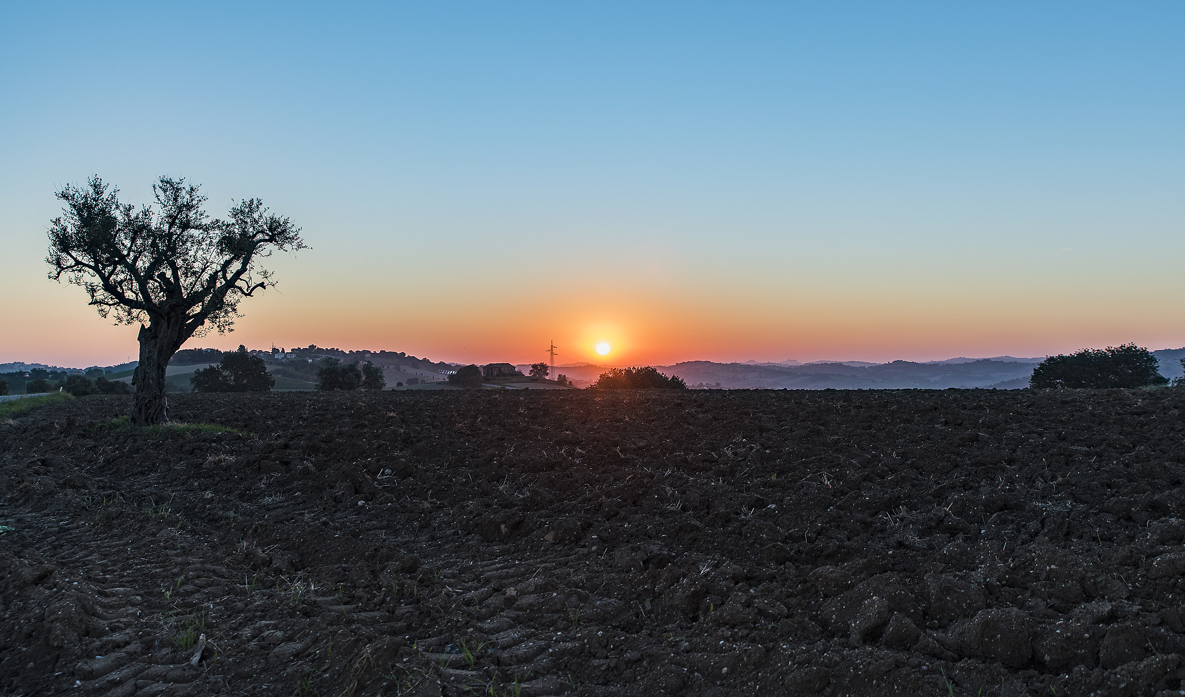 Alba sulle campagne marchigiane
