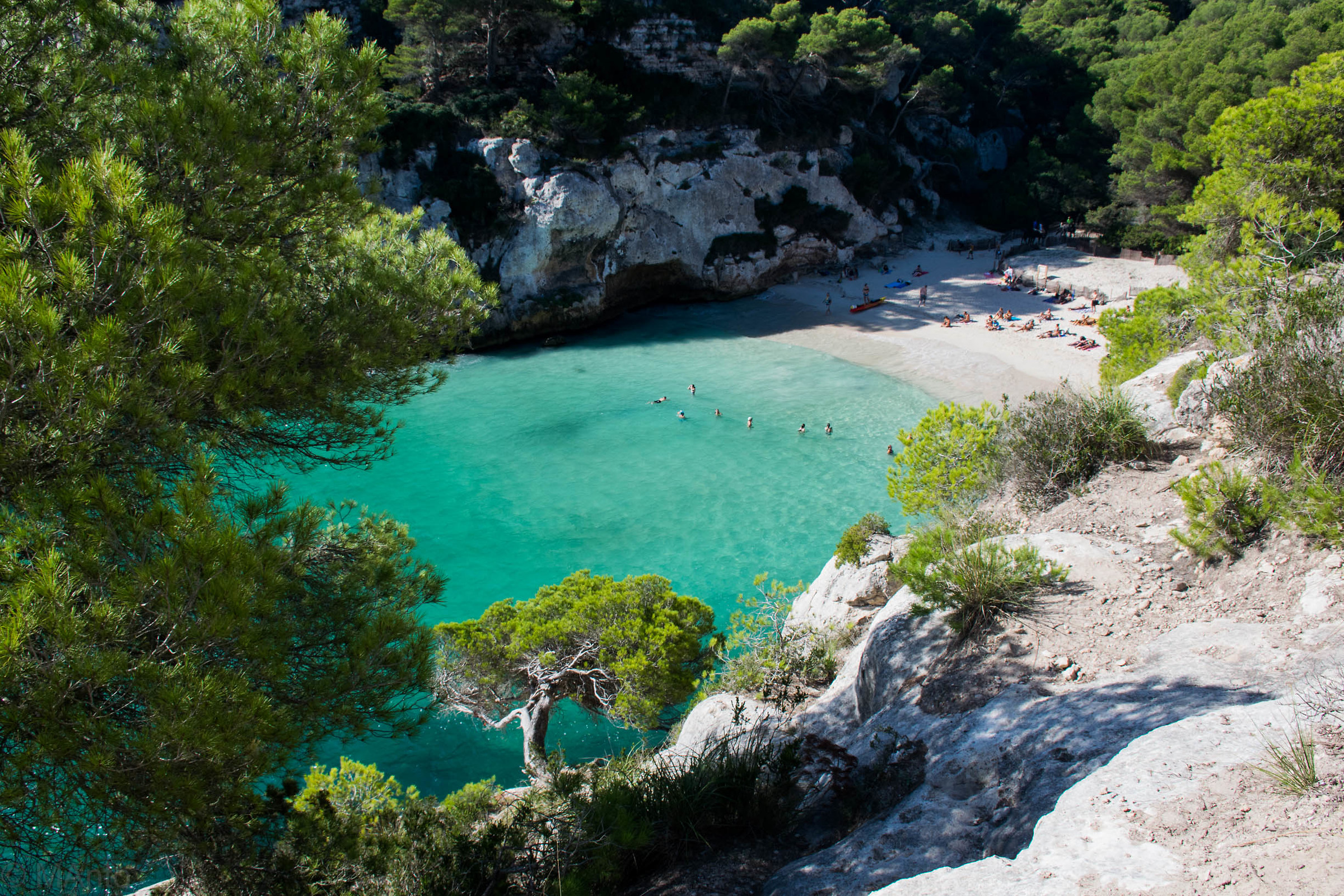 Macarelleta - Minorca
