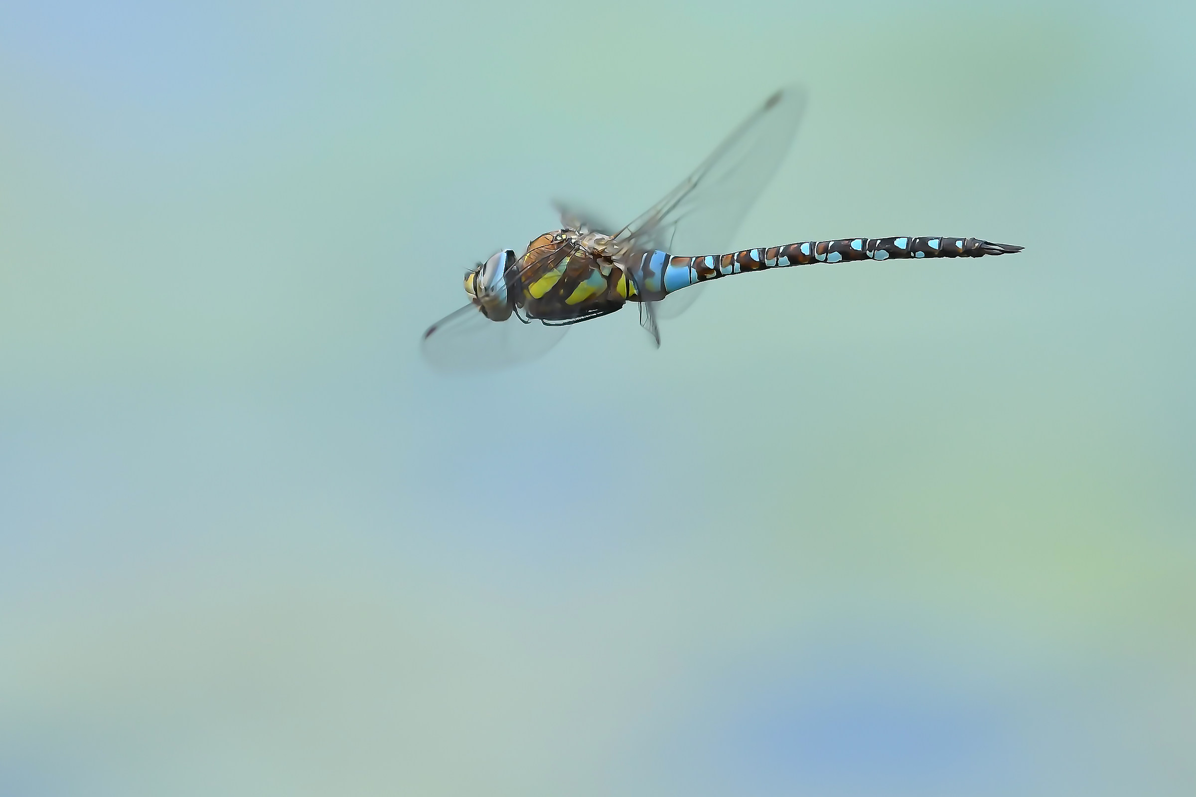 All mine for a moment!