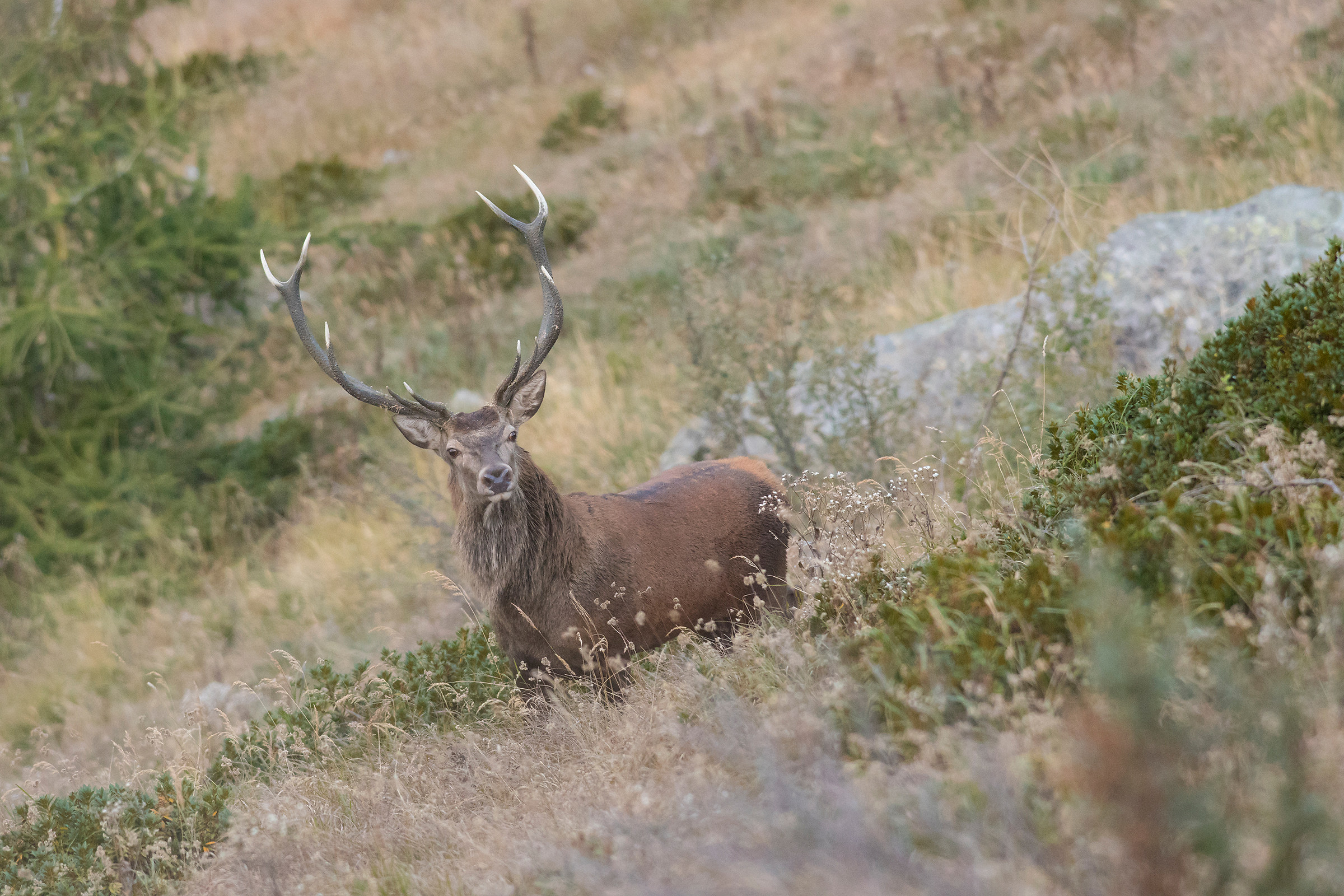 Quando meno te lo aspetti...