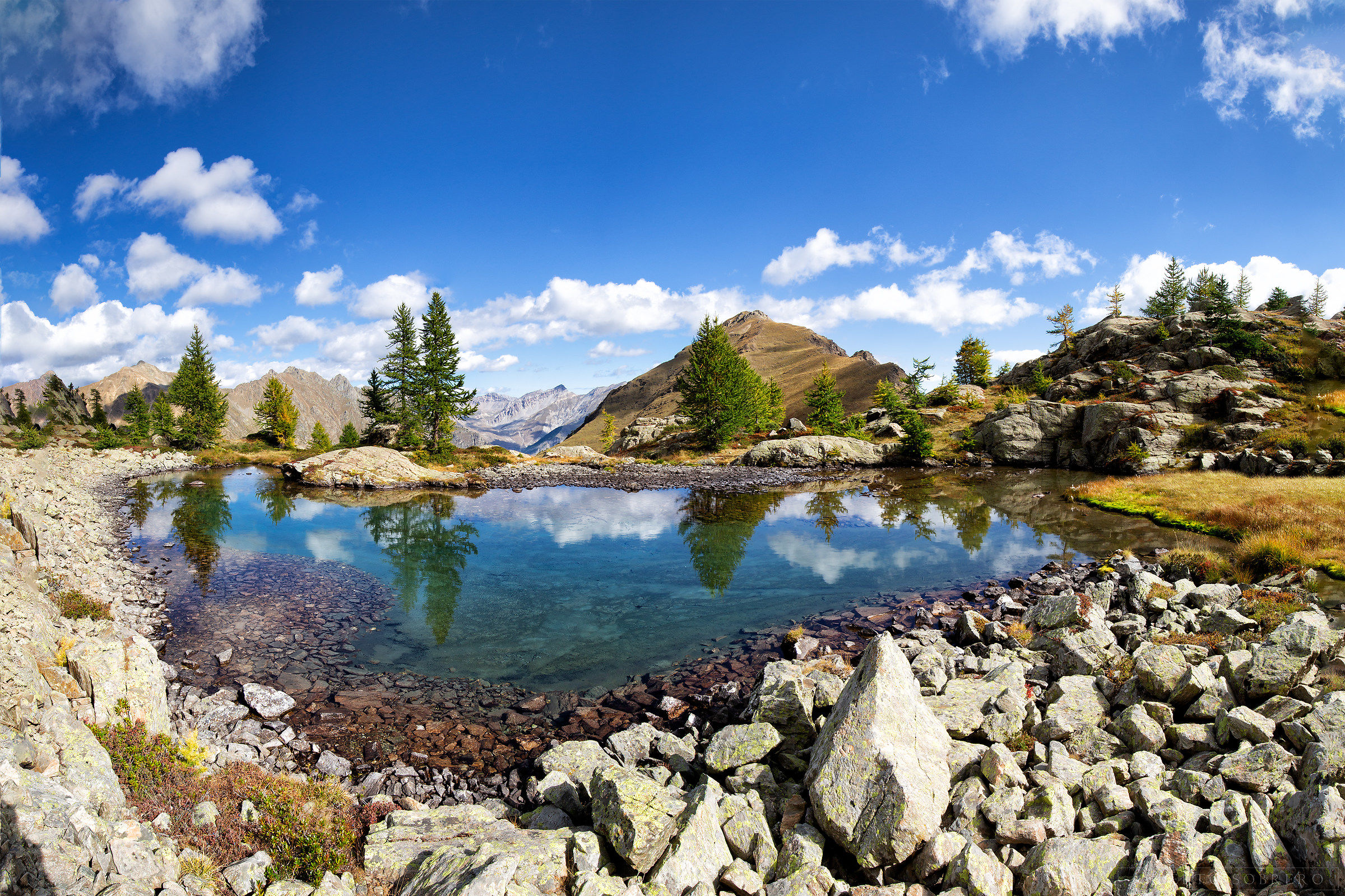 Waiting for the autumn