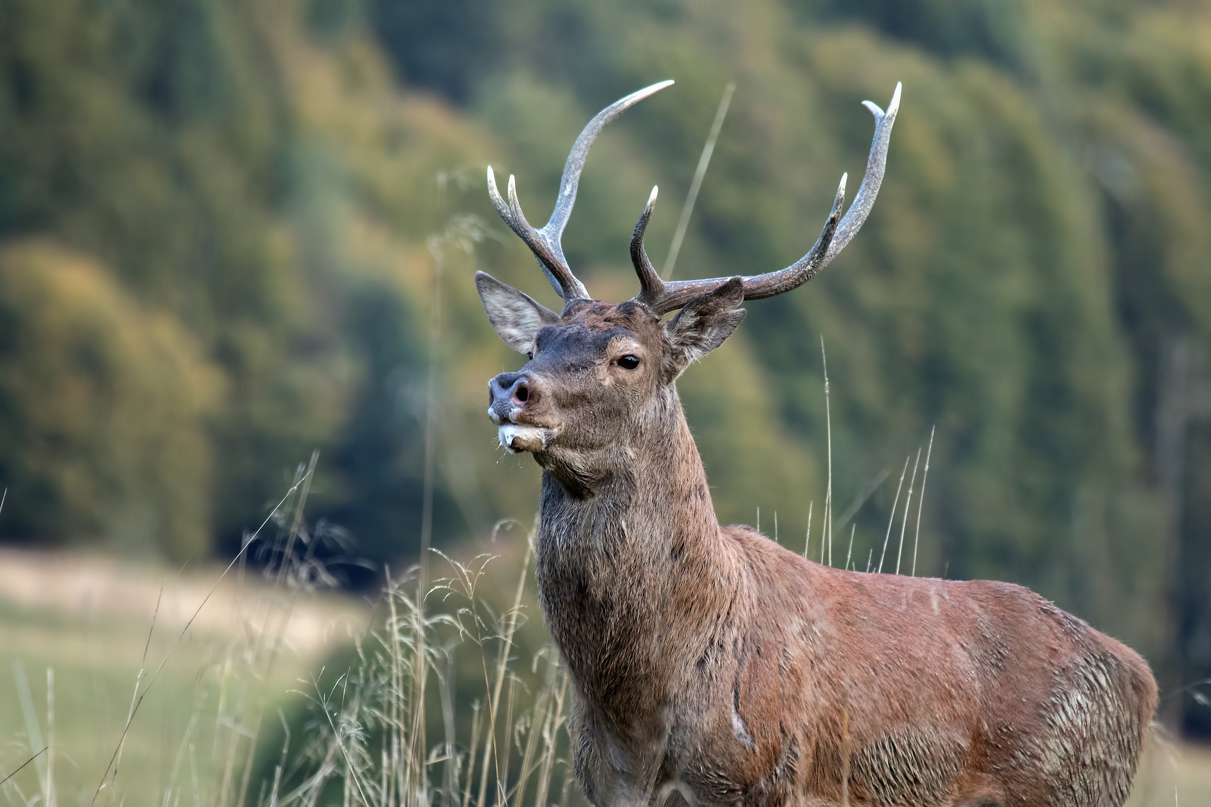 With the burr at the mouth