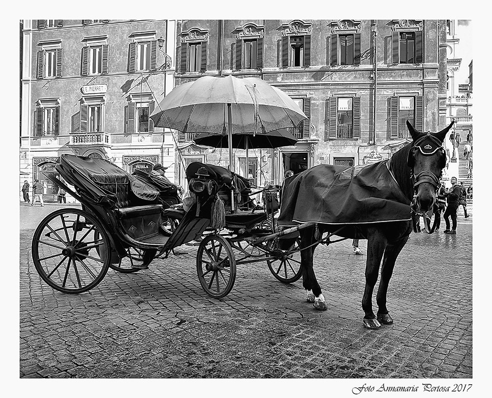 L'antico fascino della carrozzella romana