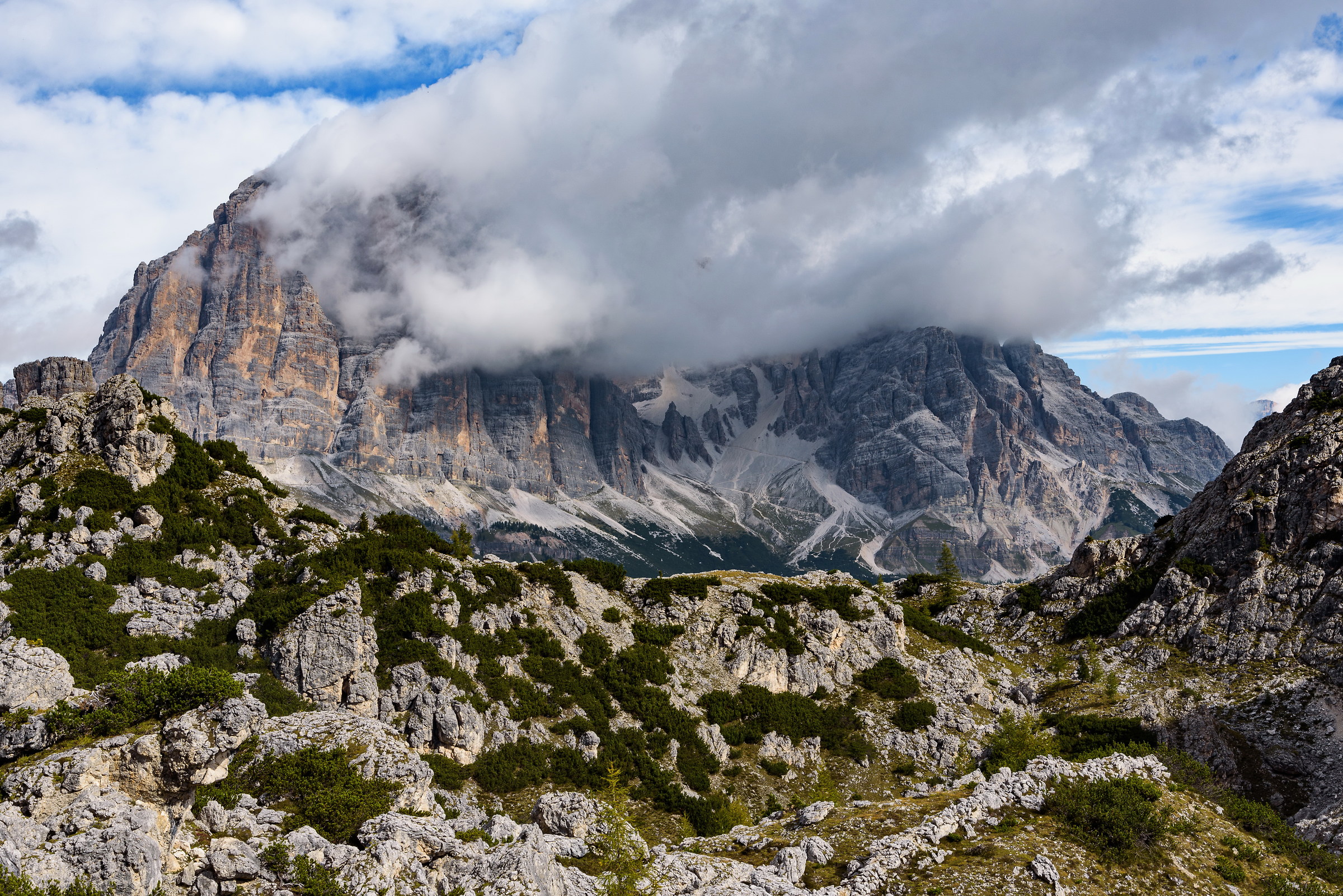 La Tofana di Rozes che gioca a nascondino