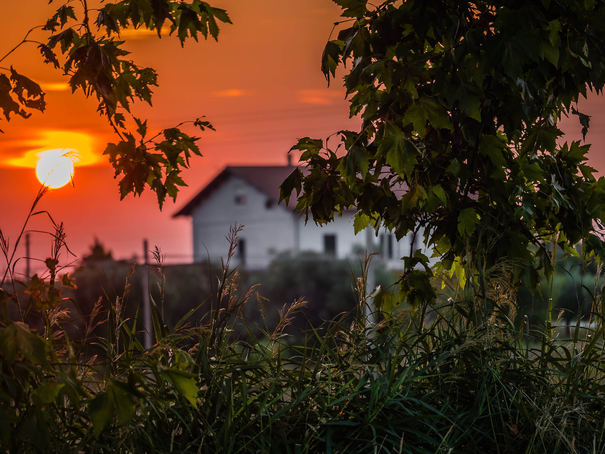 "The House of the Rising Sun".......