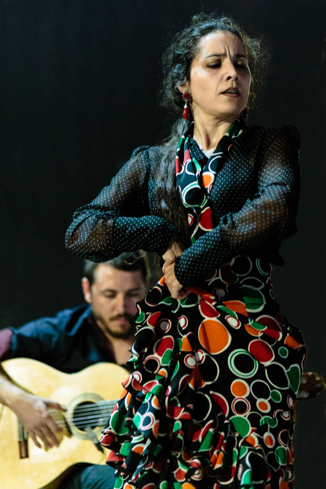 Flamenco ( danzatrice )