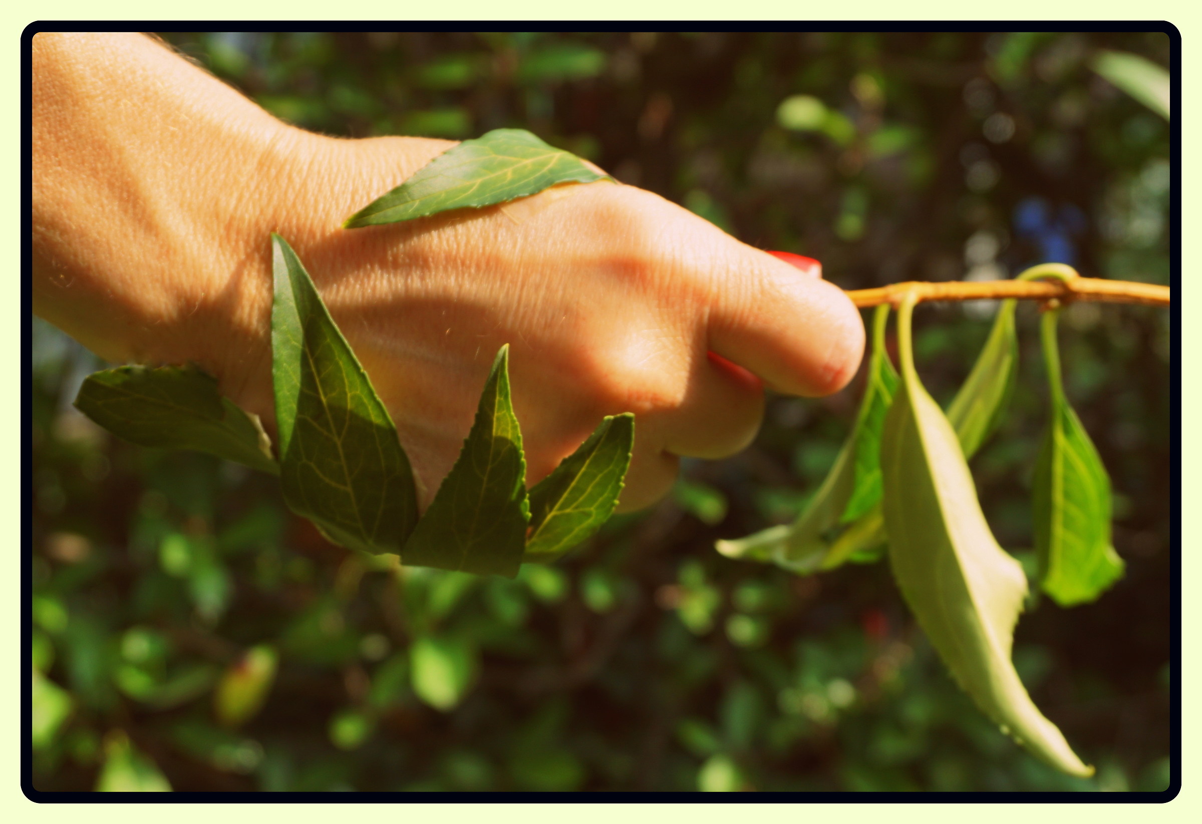 Una vecchia  amicizia