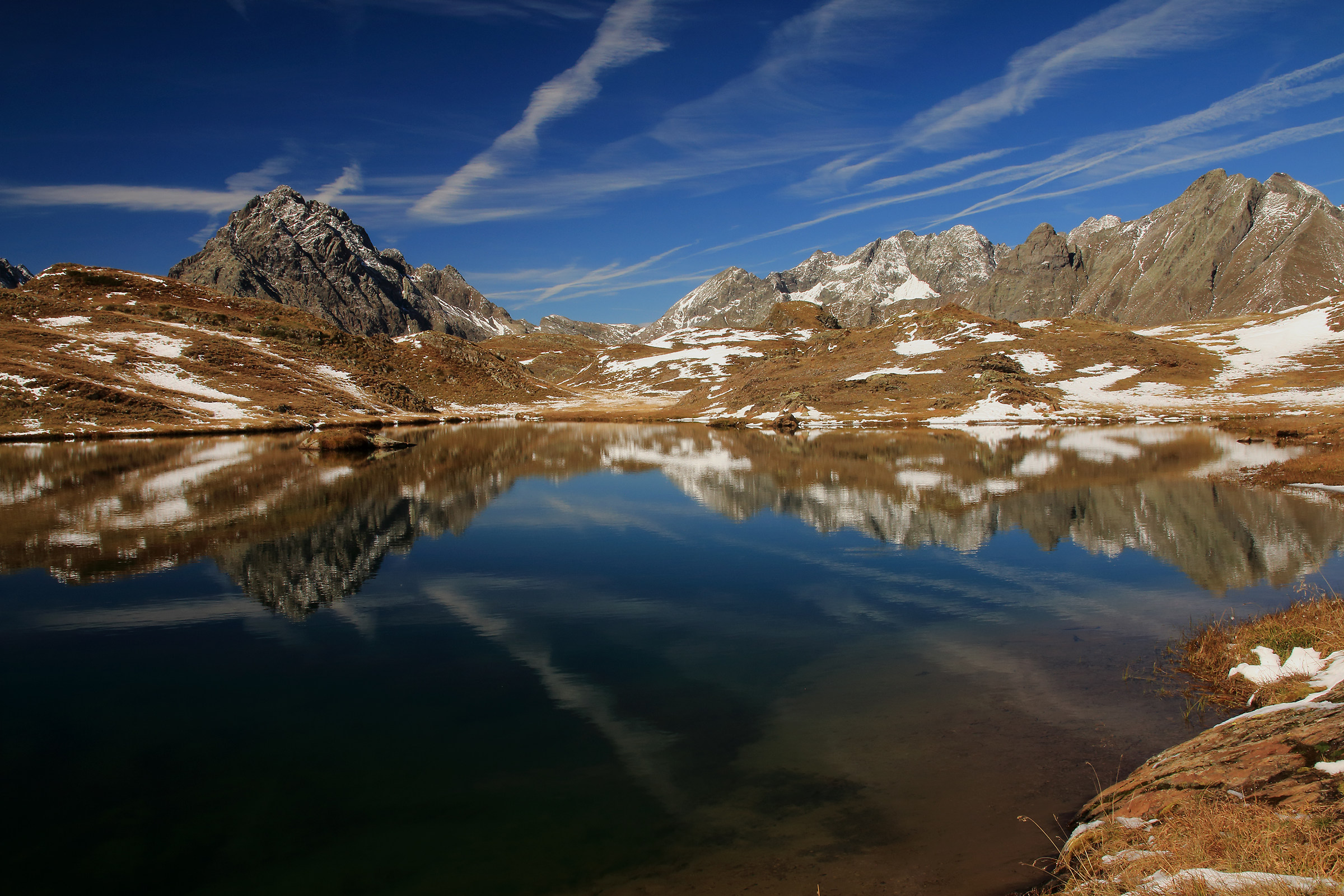 The Coca in the Cerviera