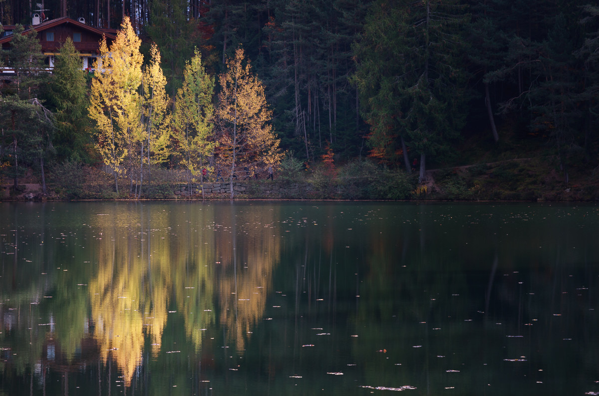 Luci ed ombre sul lago ...