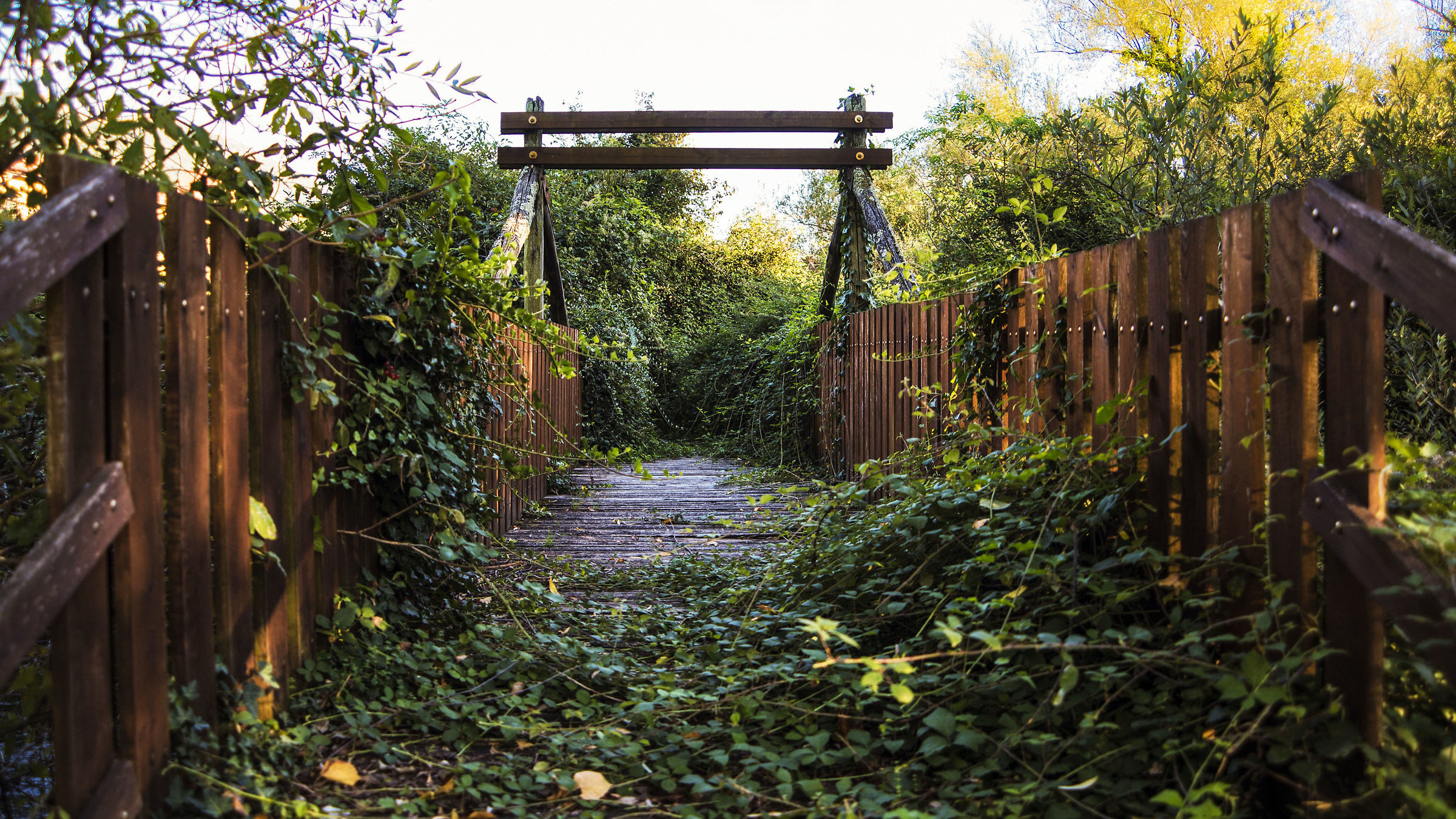 Ponticello di legno abbandonato
