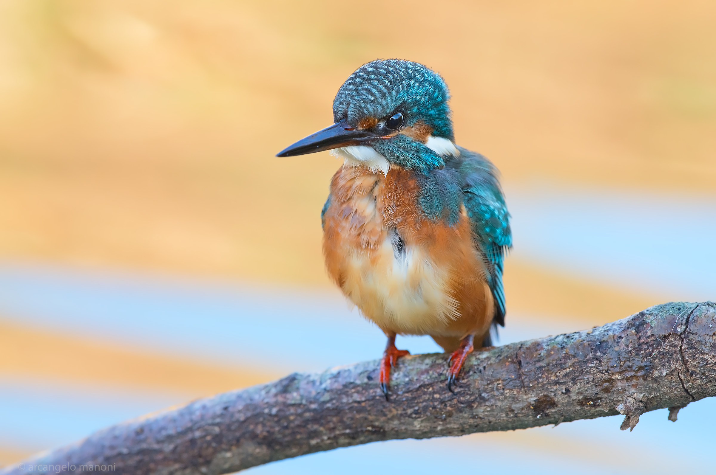 Il fiume e l'autunno pennellano lo sfondo al martino