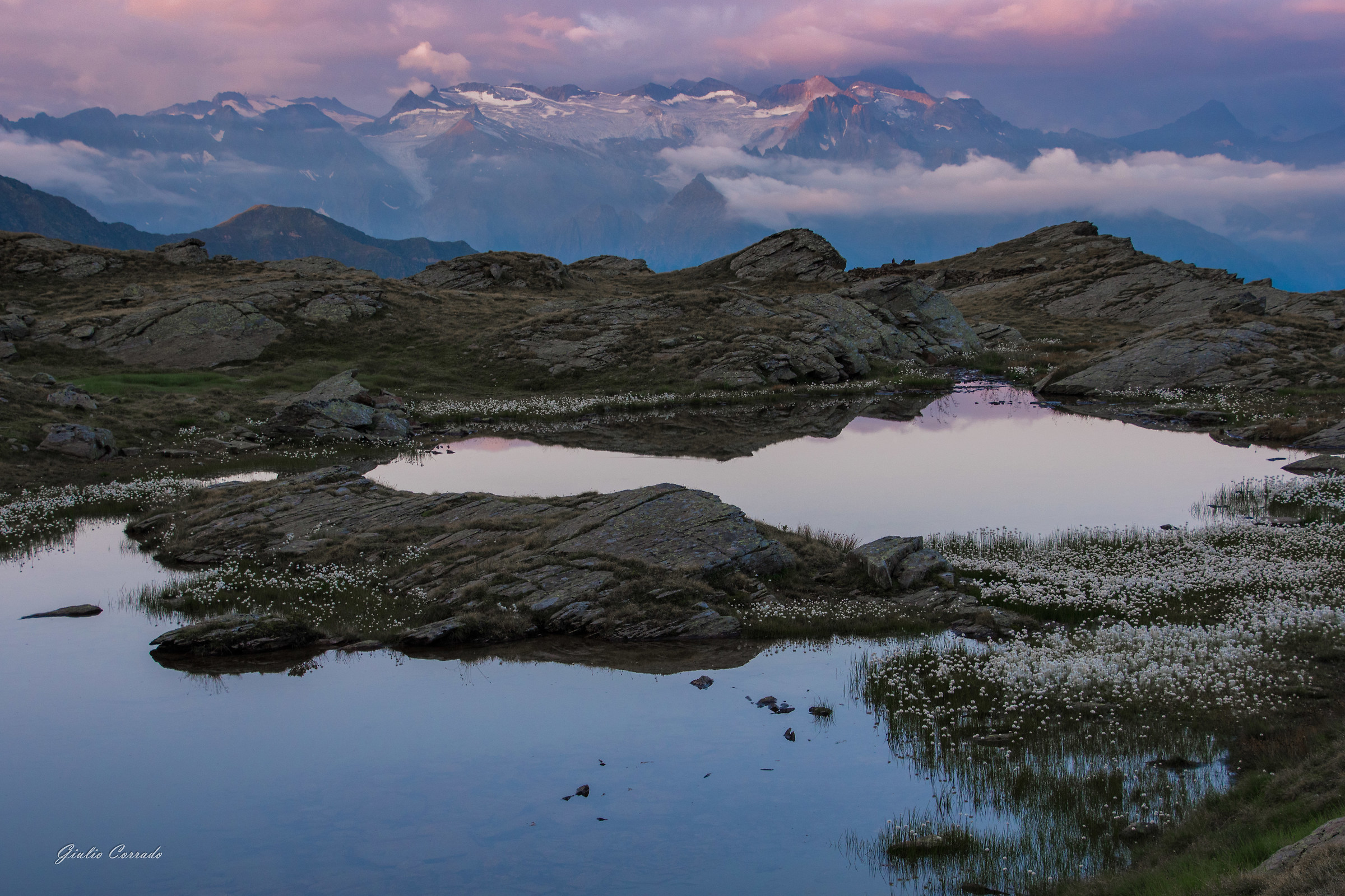 Blue Hour at the Baitello ponds
