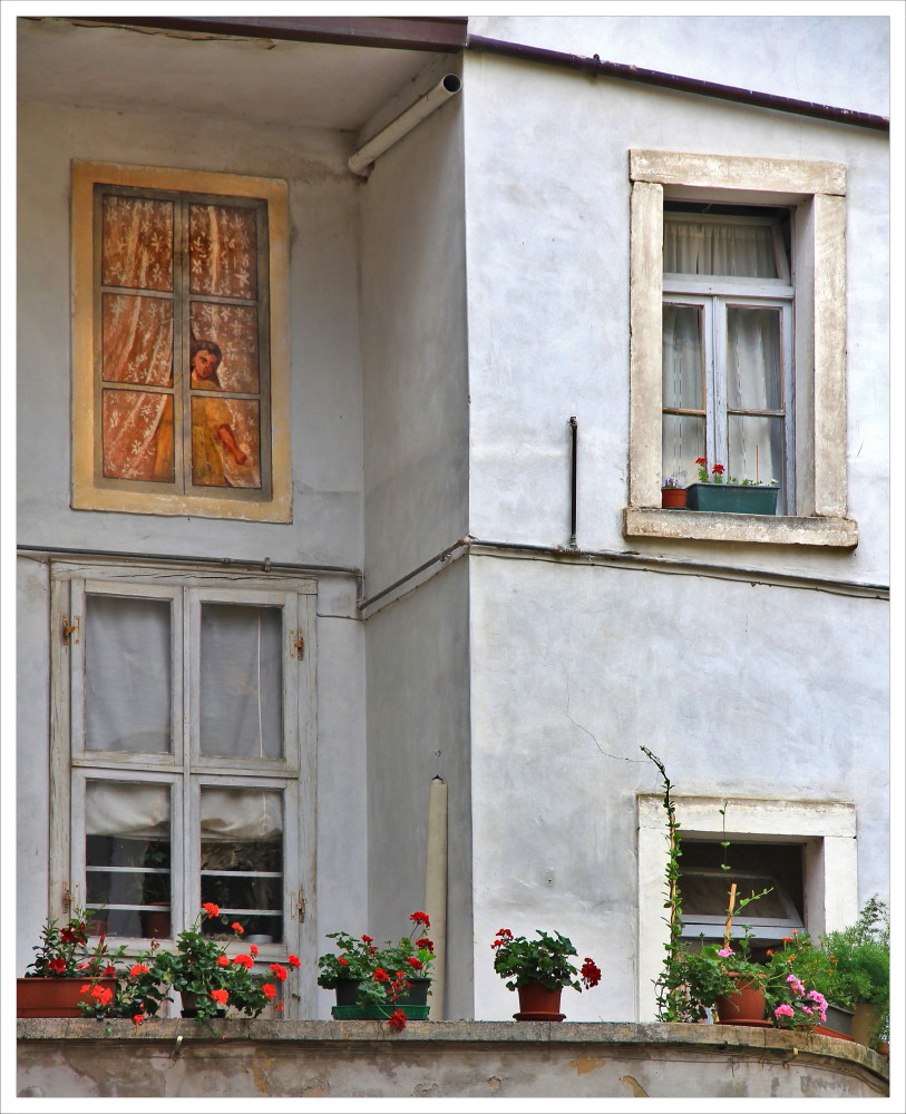 Uno sguardo dalla finestra (Arco - TN)