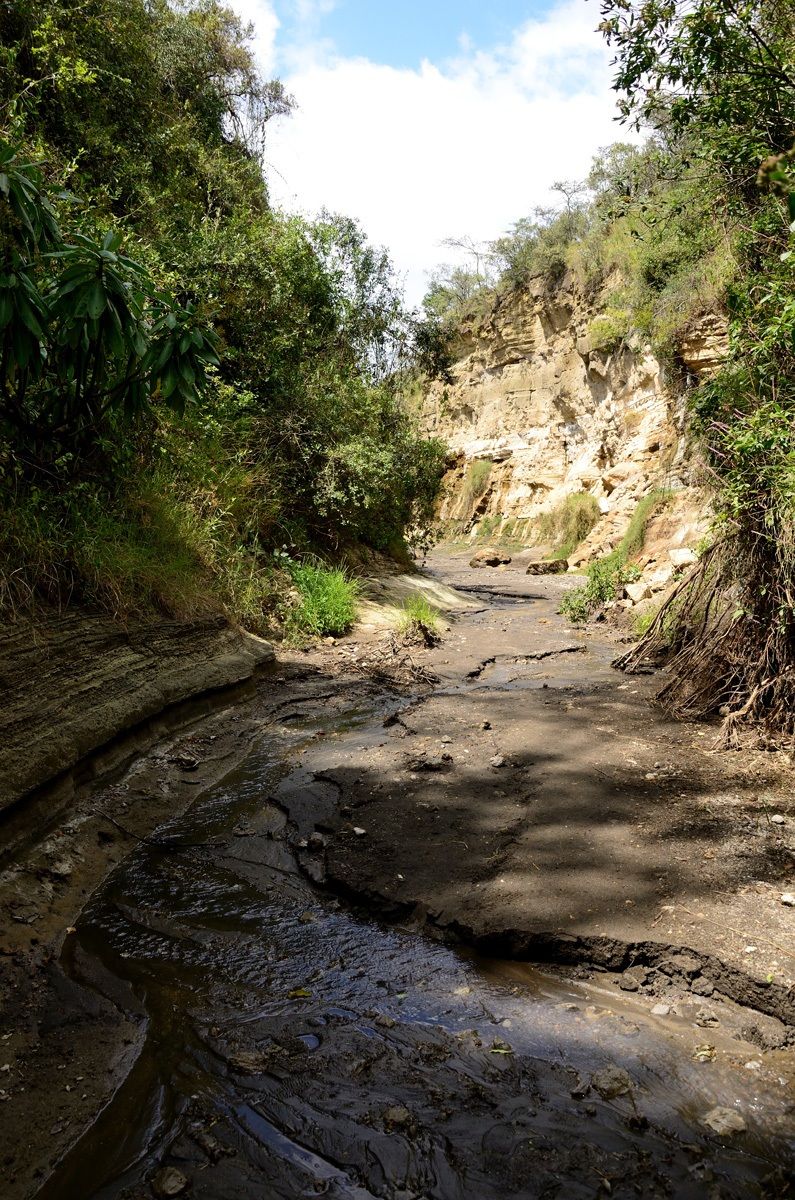 Hells gate National Park Kenia