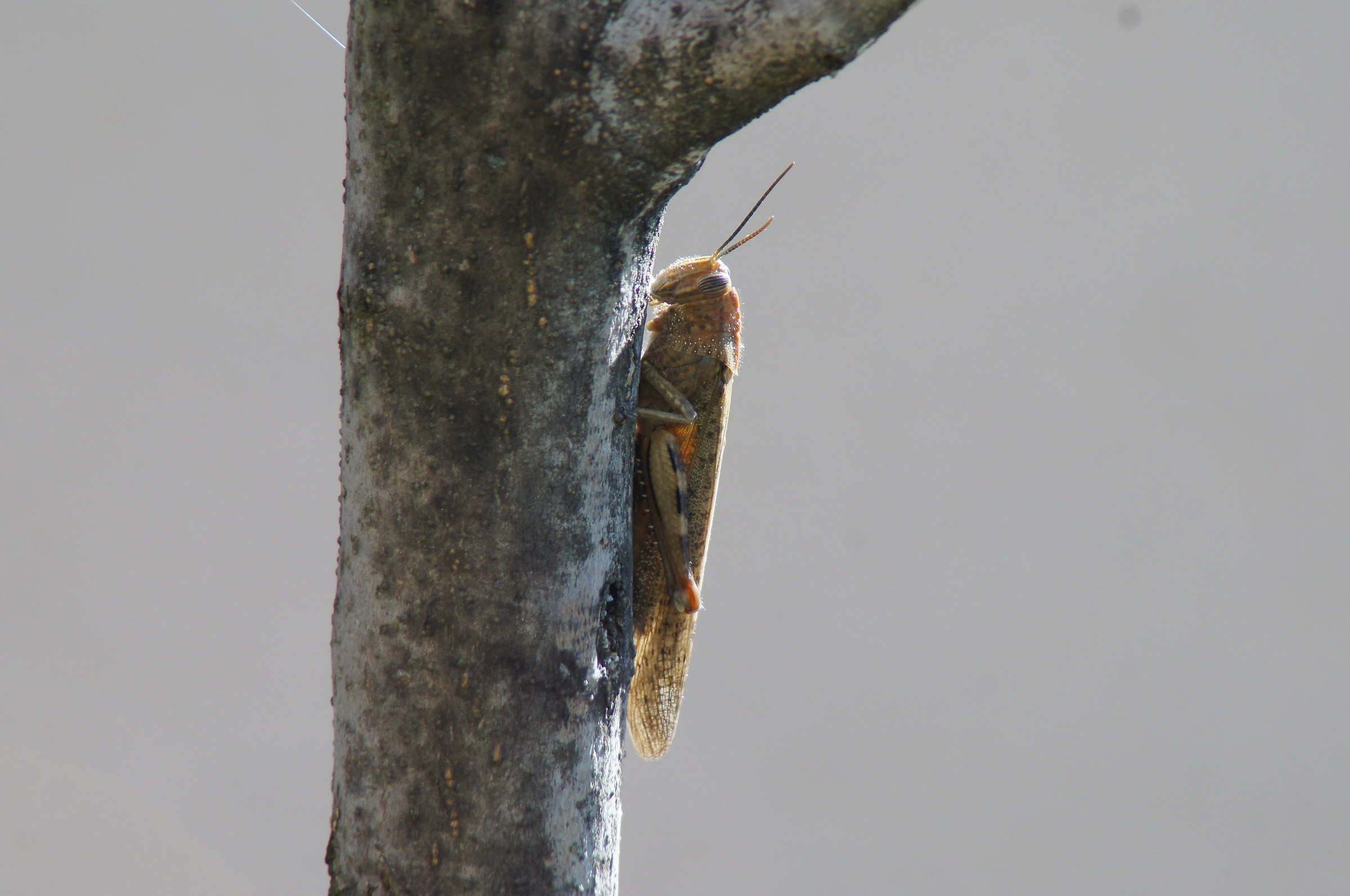 So I don't notice anyone