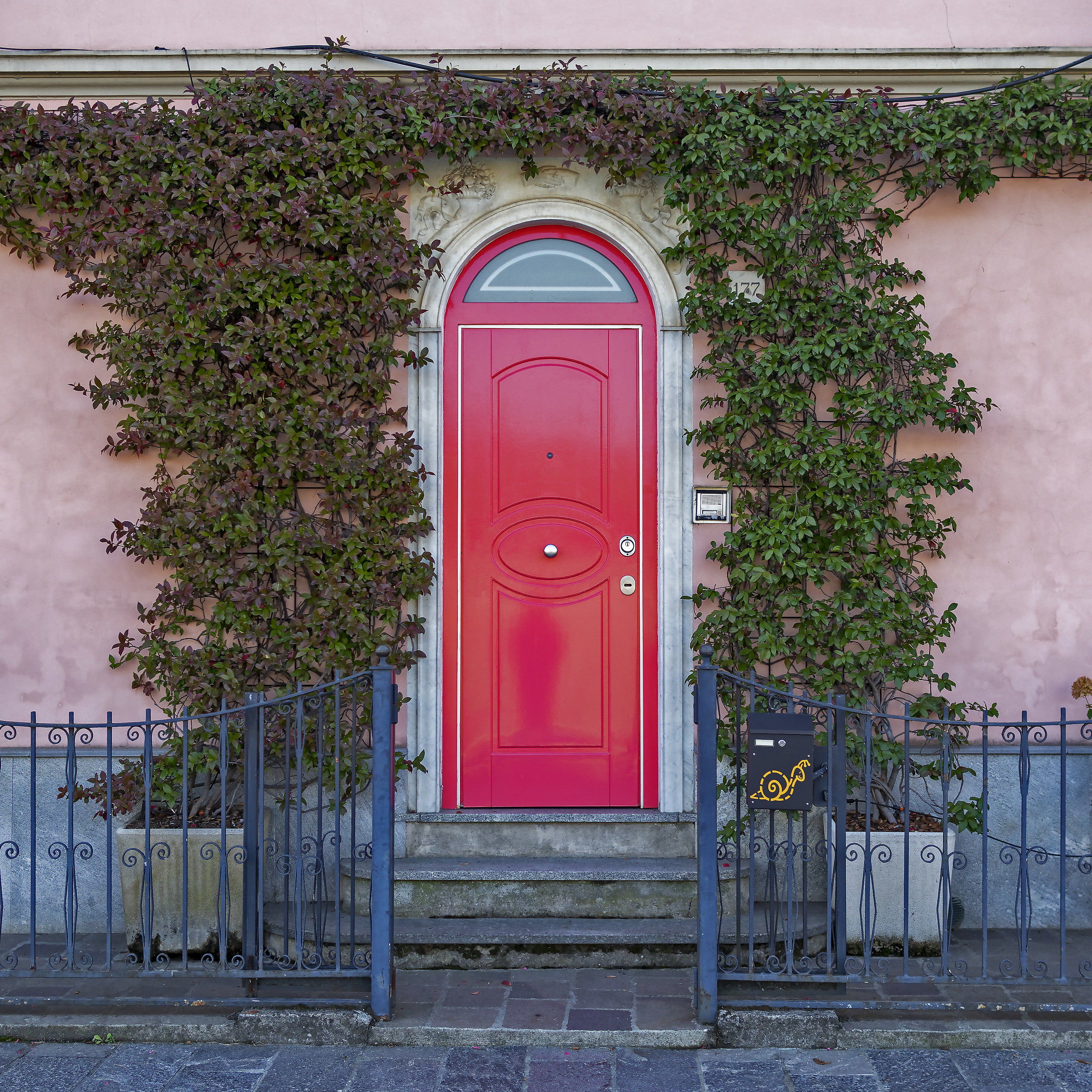 To find home in the fog