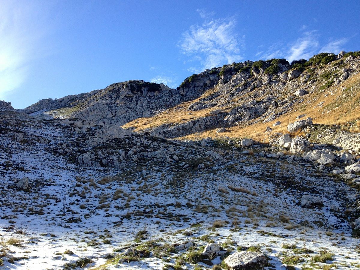 val of roses and step Cavuto