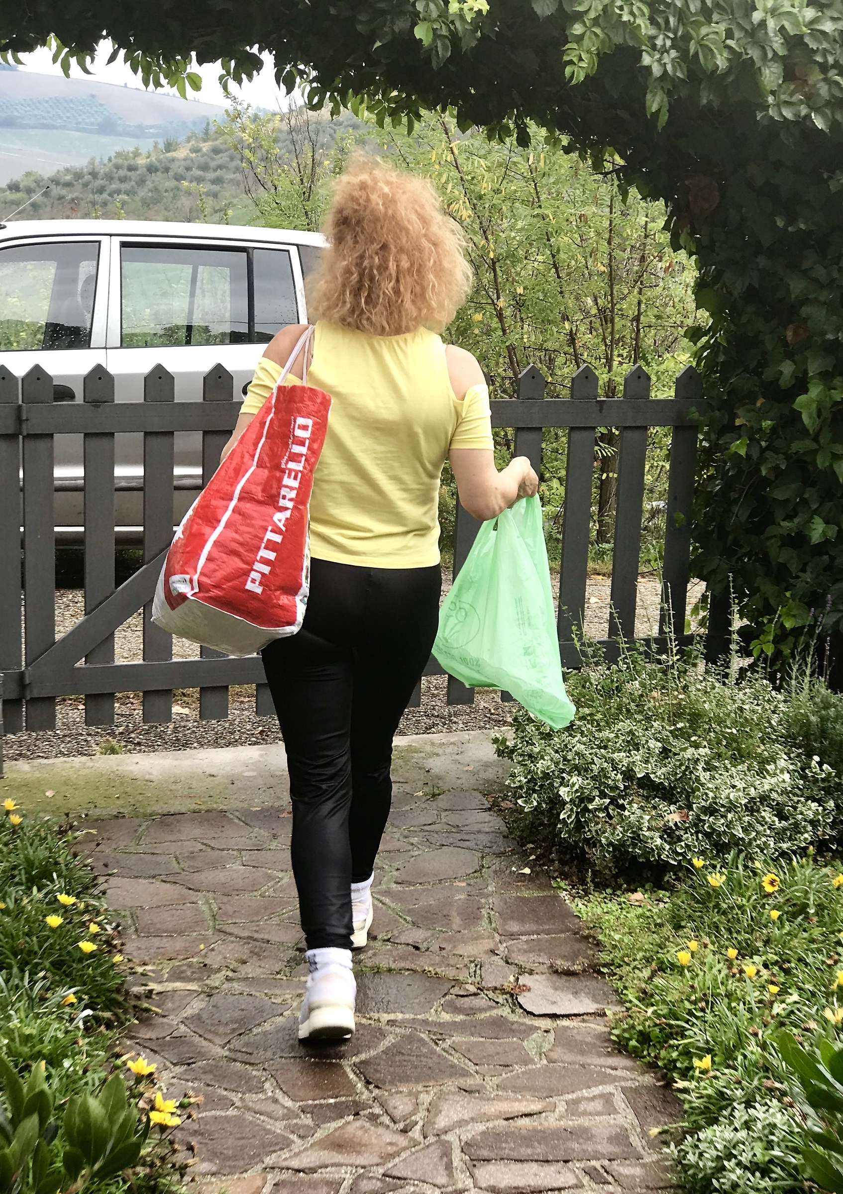 The restorer of ancient Faces.