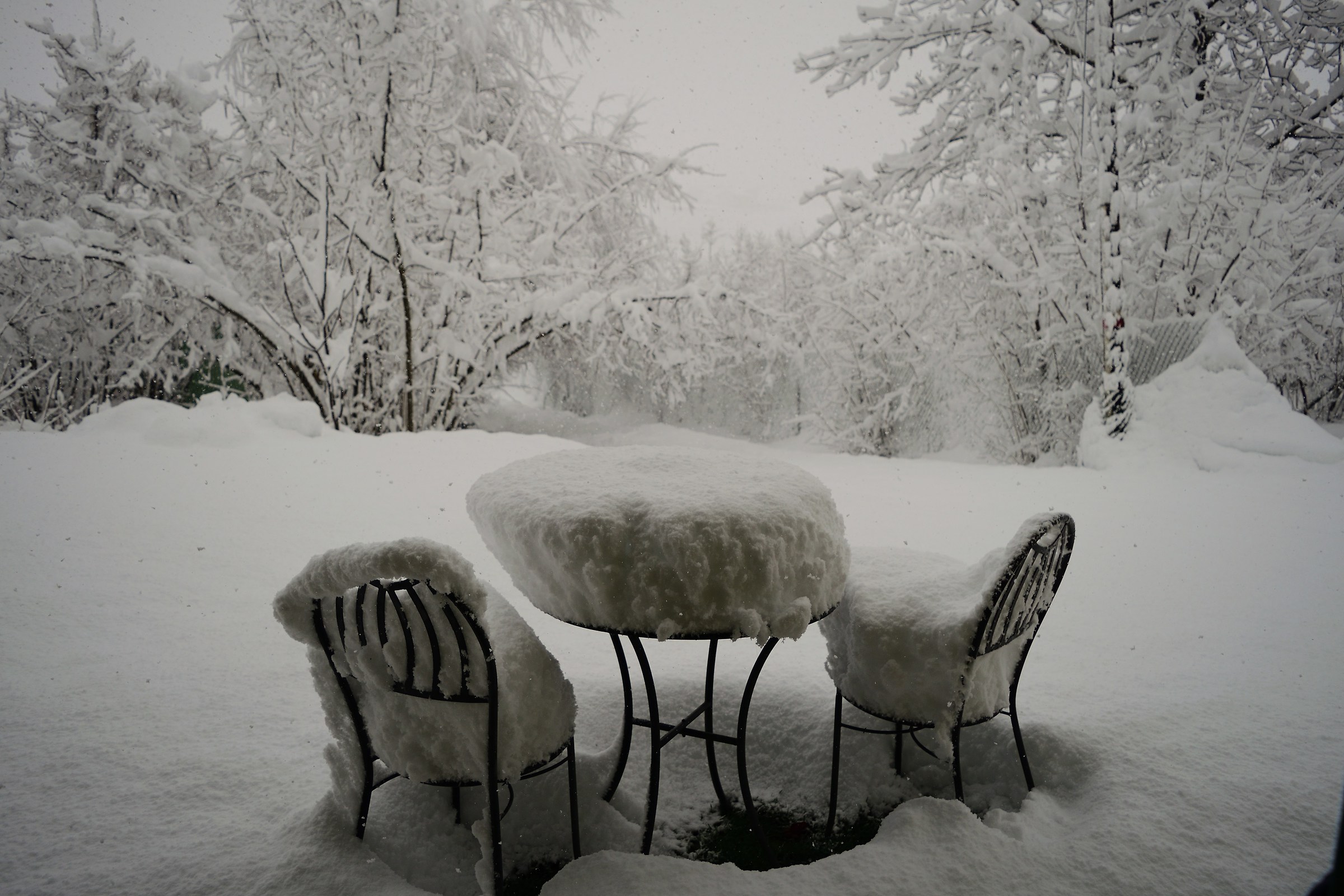 Due chiacchere con l'inverno