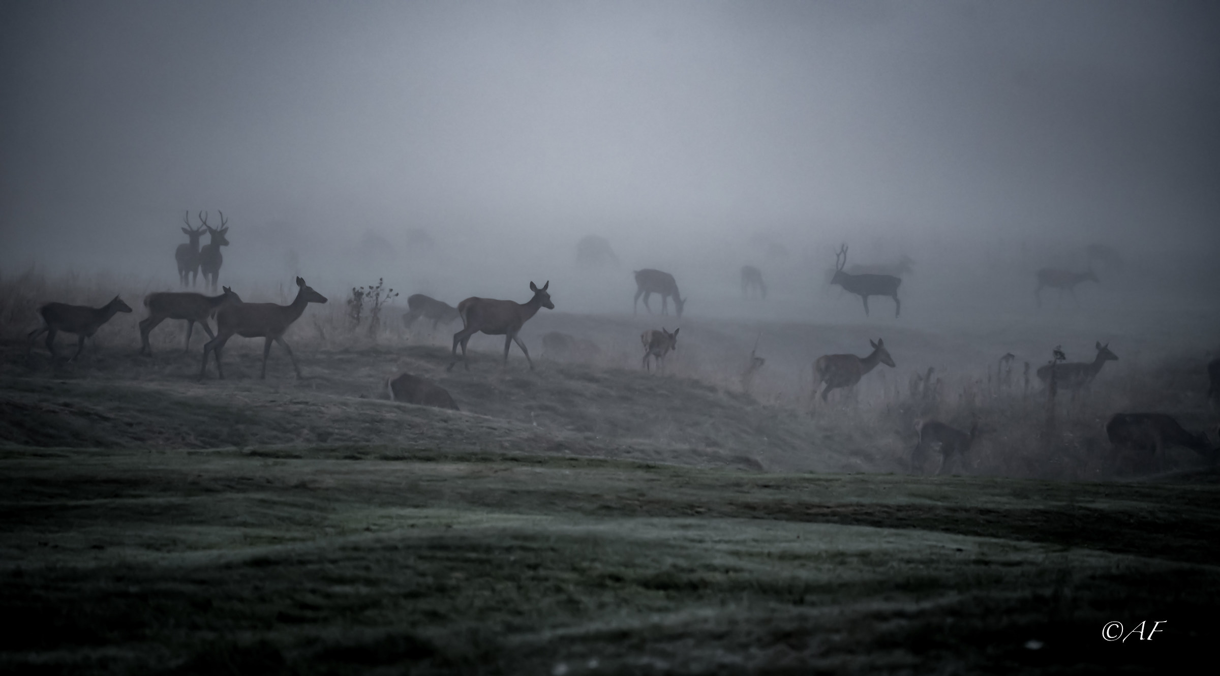 in ottima compagnia!! :)