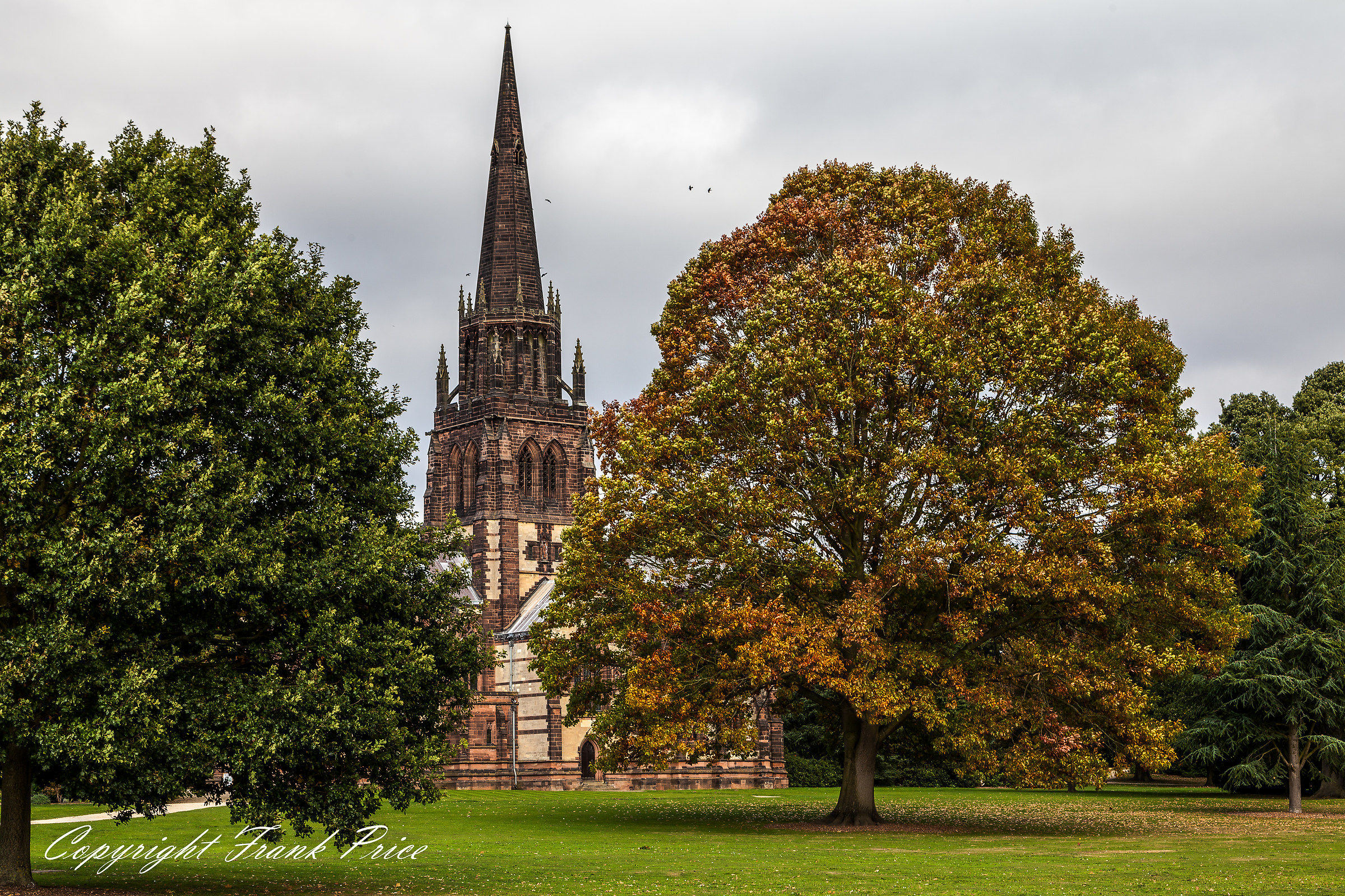 Clumber Park - Autumn Leaves
