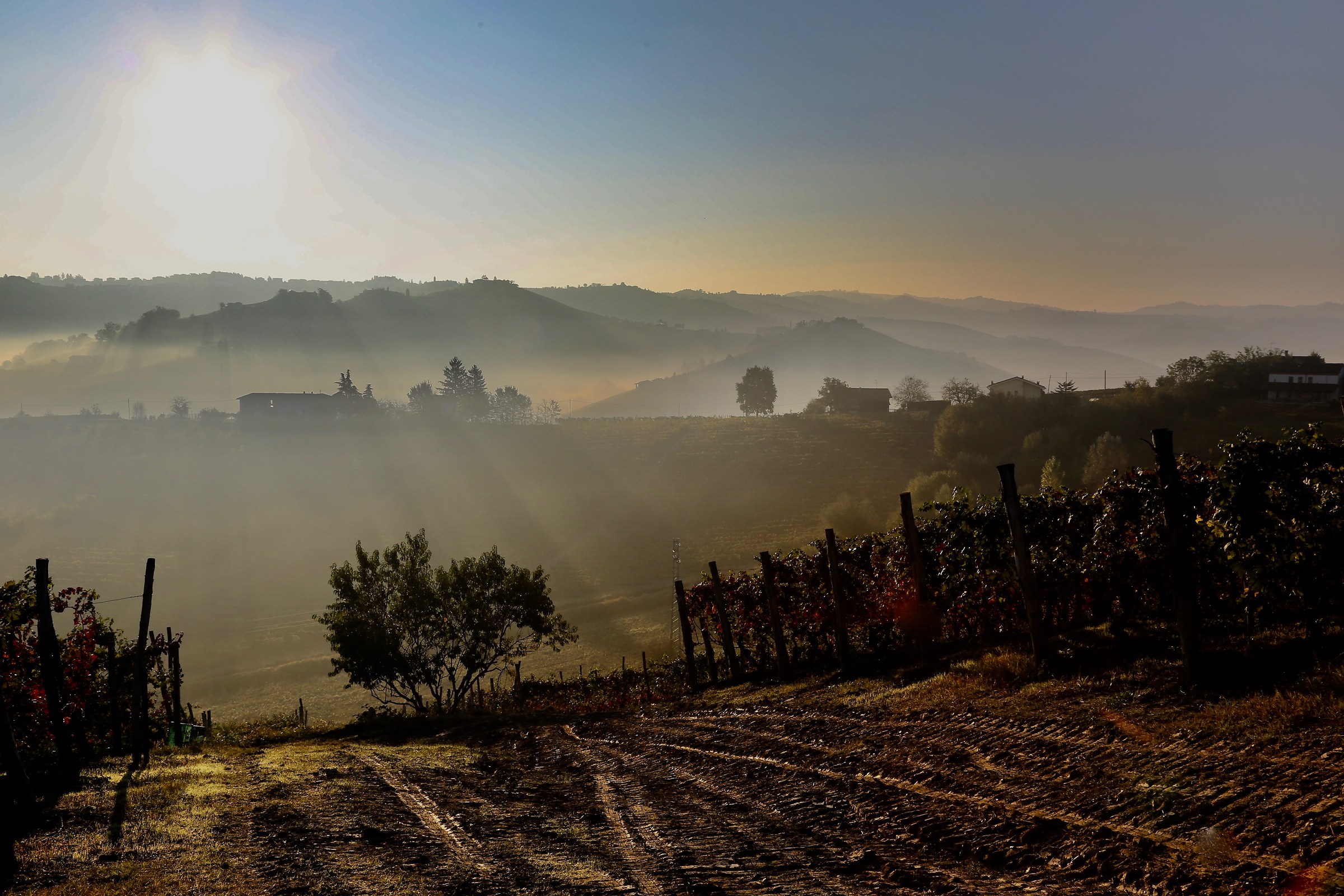 D'oro e d'azzurro è il vestito del mattino