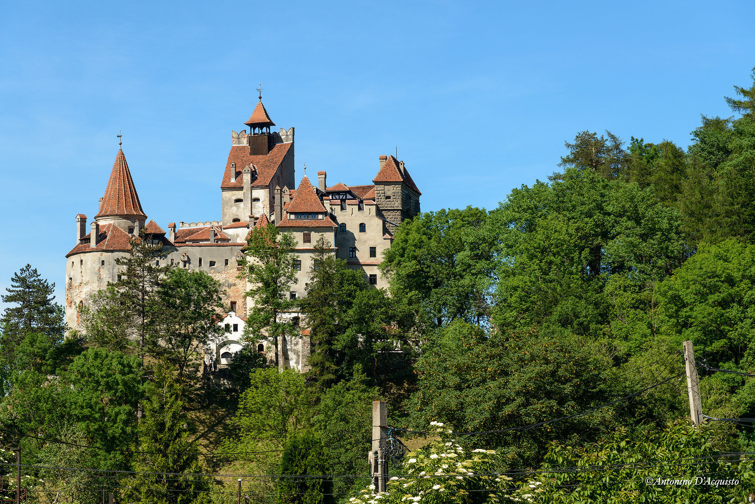 The Castle of Dracula
