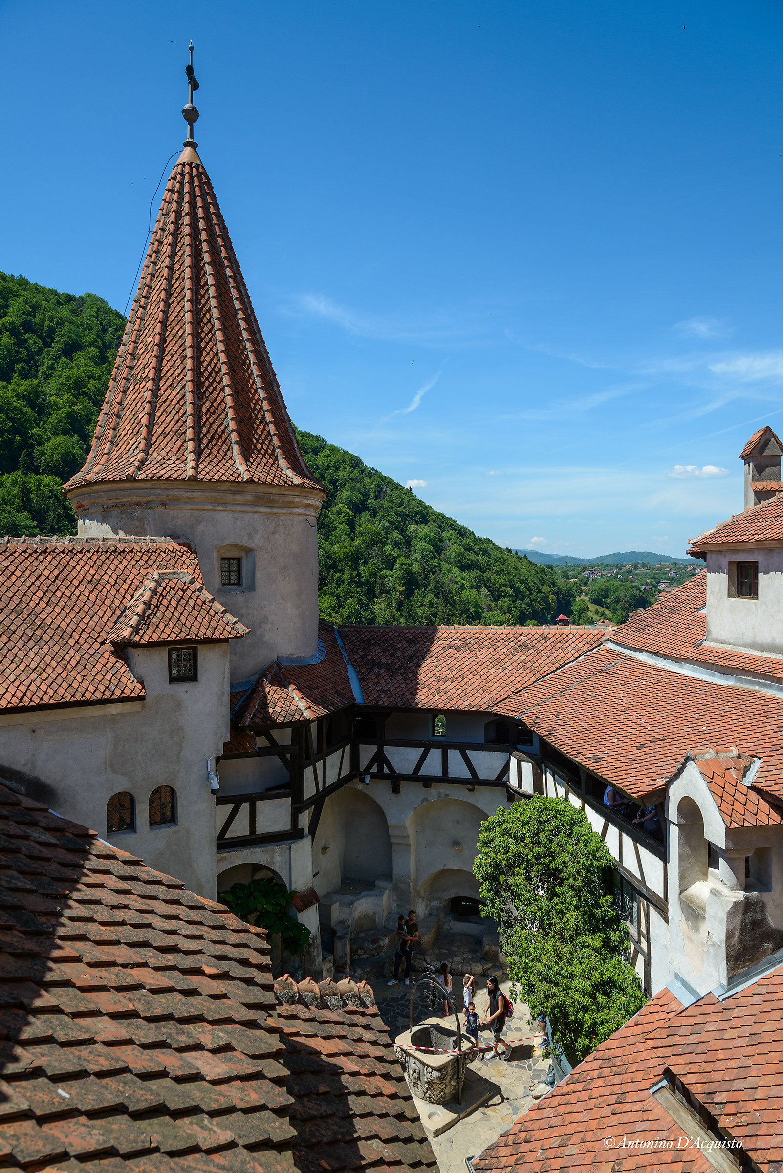 Il castello di Dracula