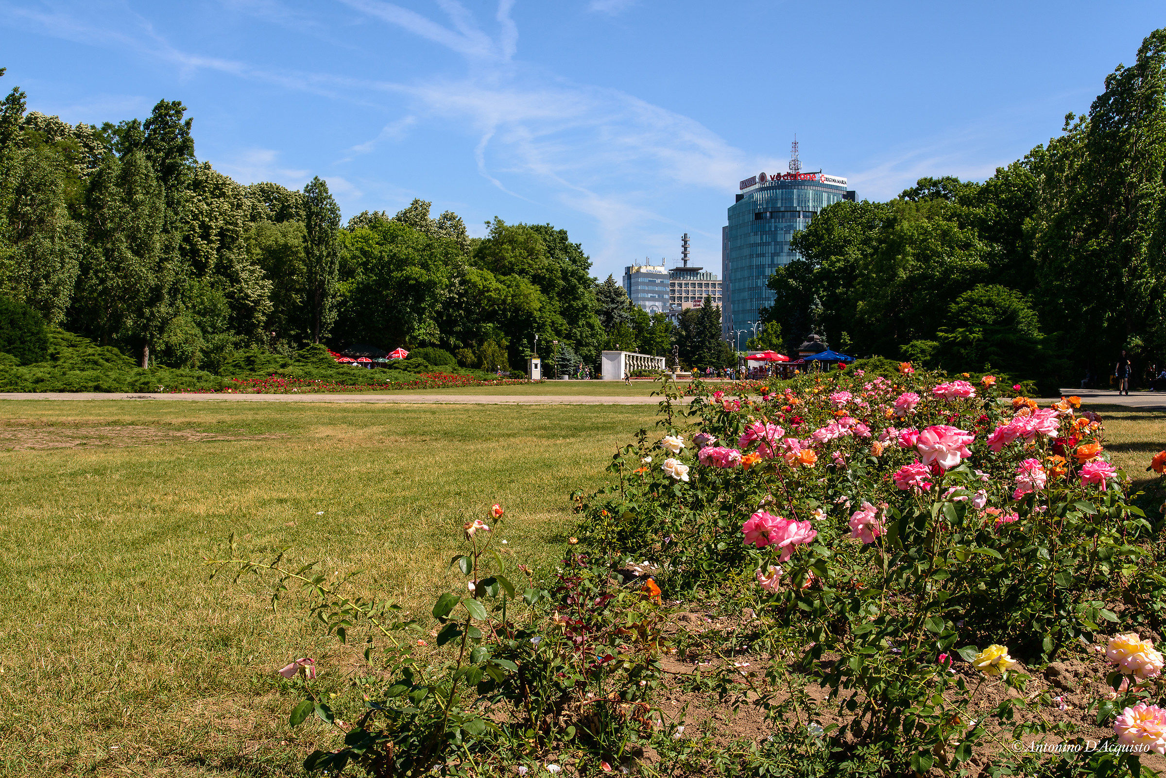 Parco Herastrau a Bucarest