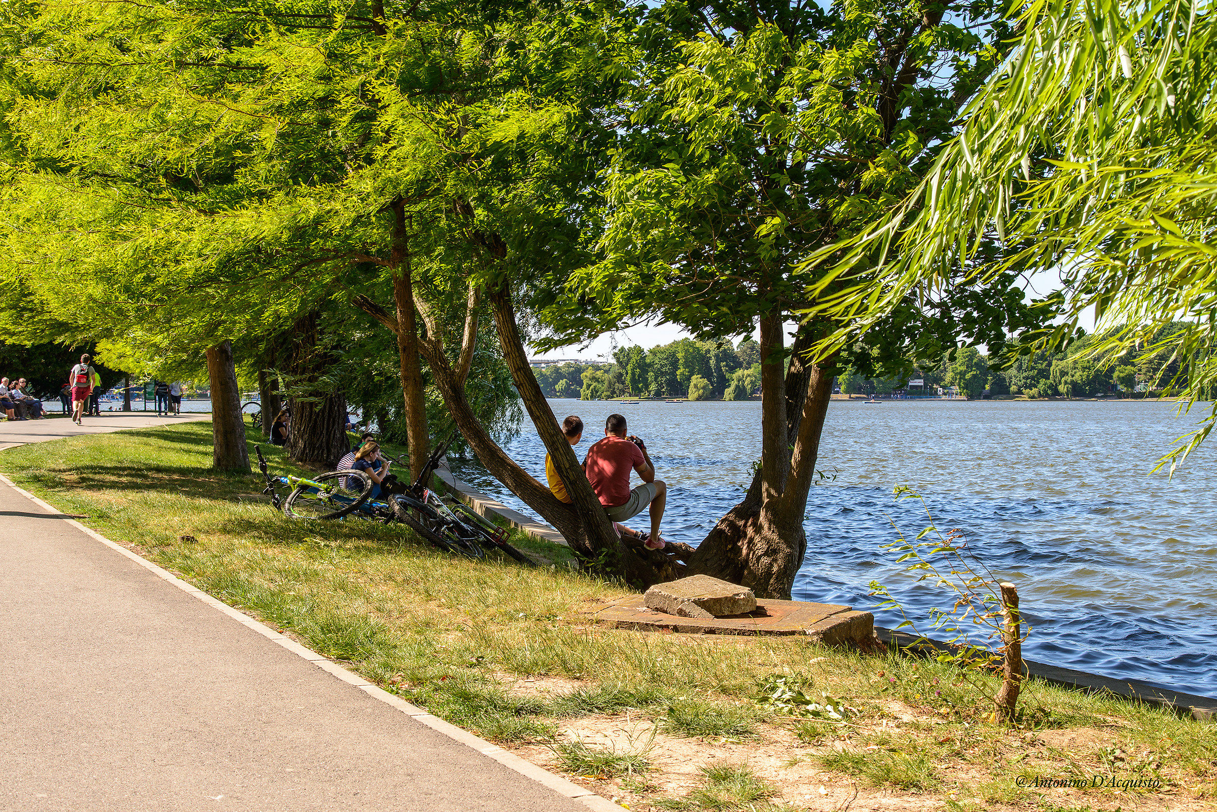 Herastrau Park in Bucharest