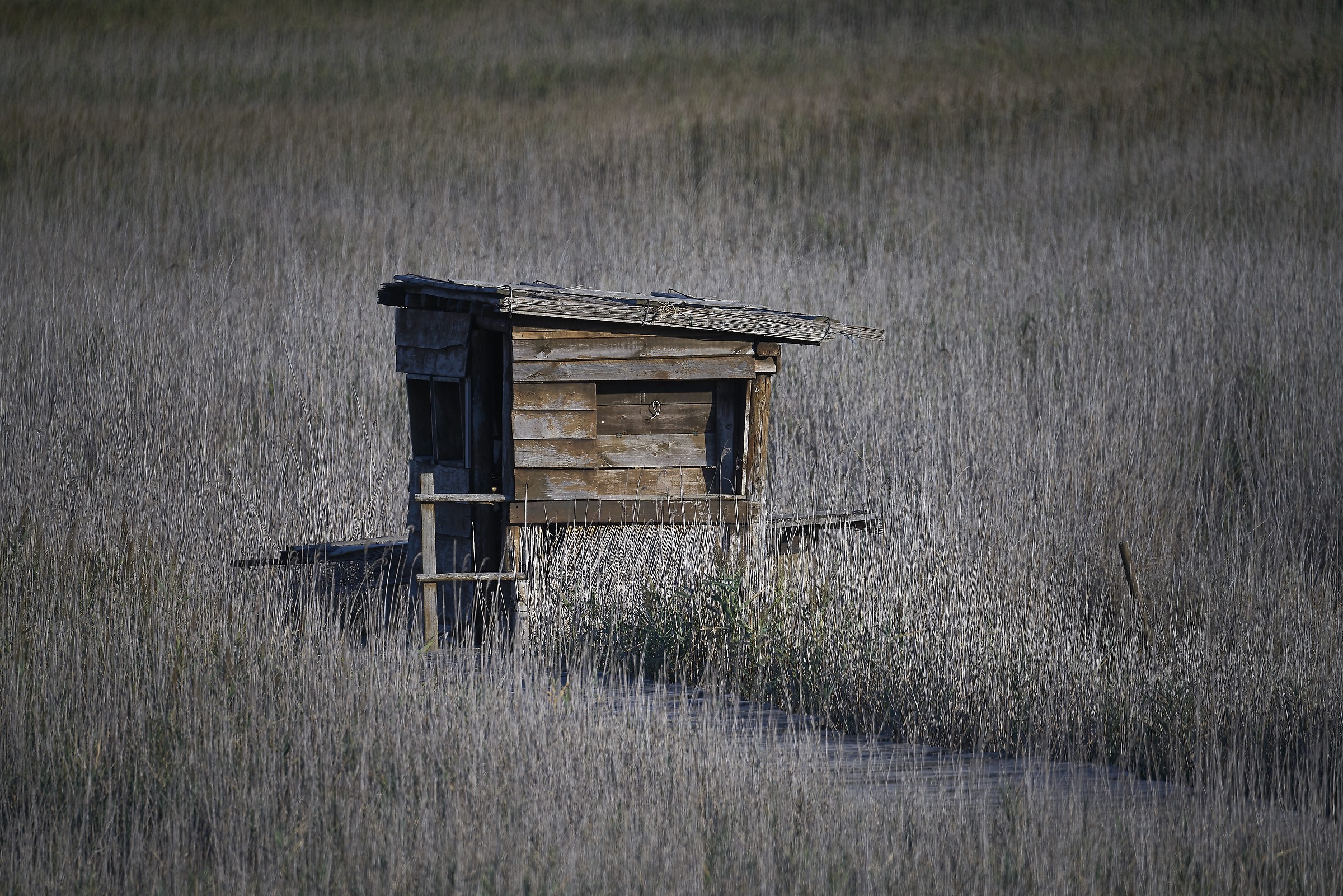 500 mm Cano F 8 retroreflecting