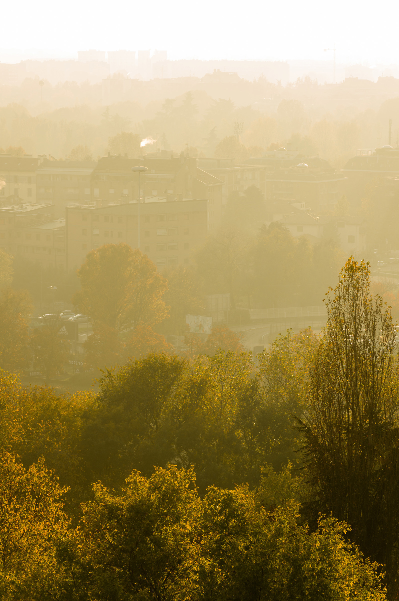 La scighera, ovvero la (ormai rara) nebbia milanese