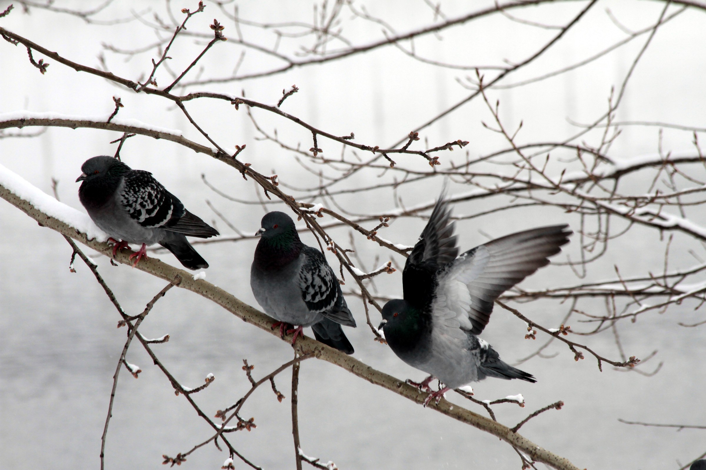 "three Friends at........"