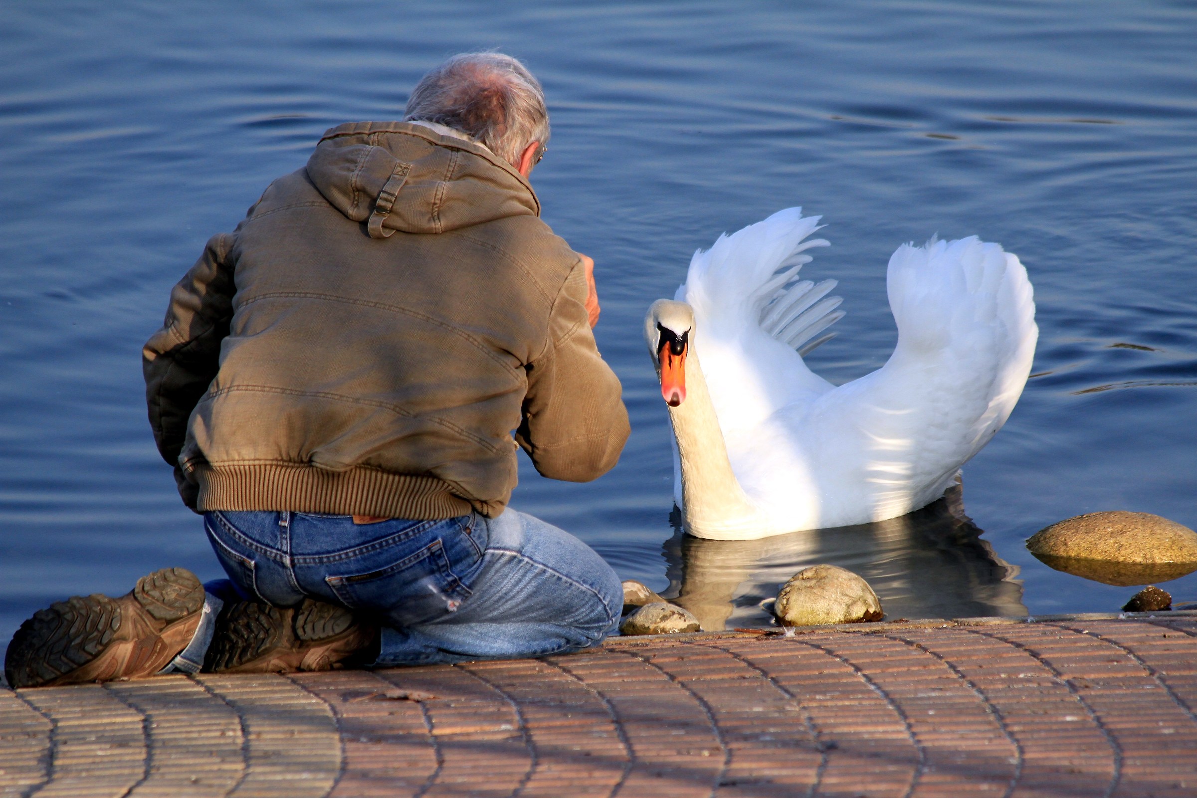 "neighbors... neighbors"