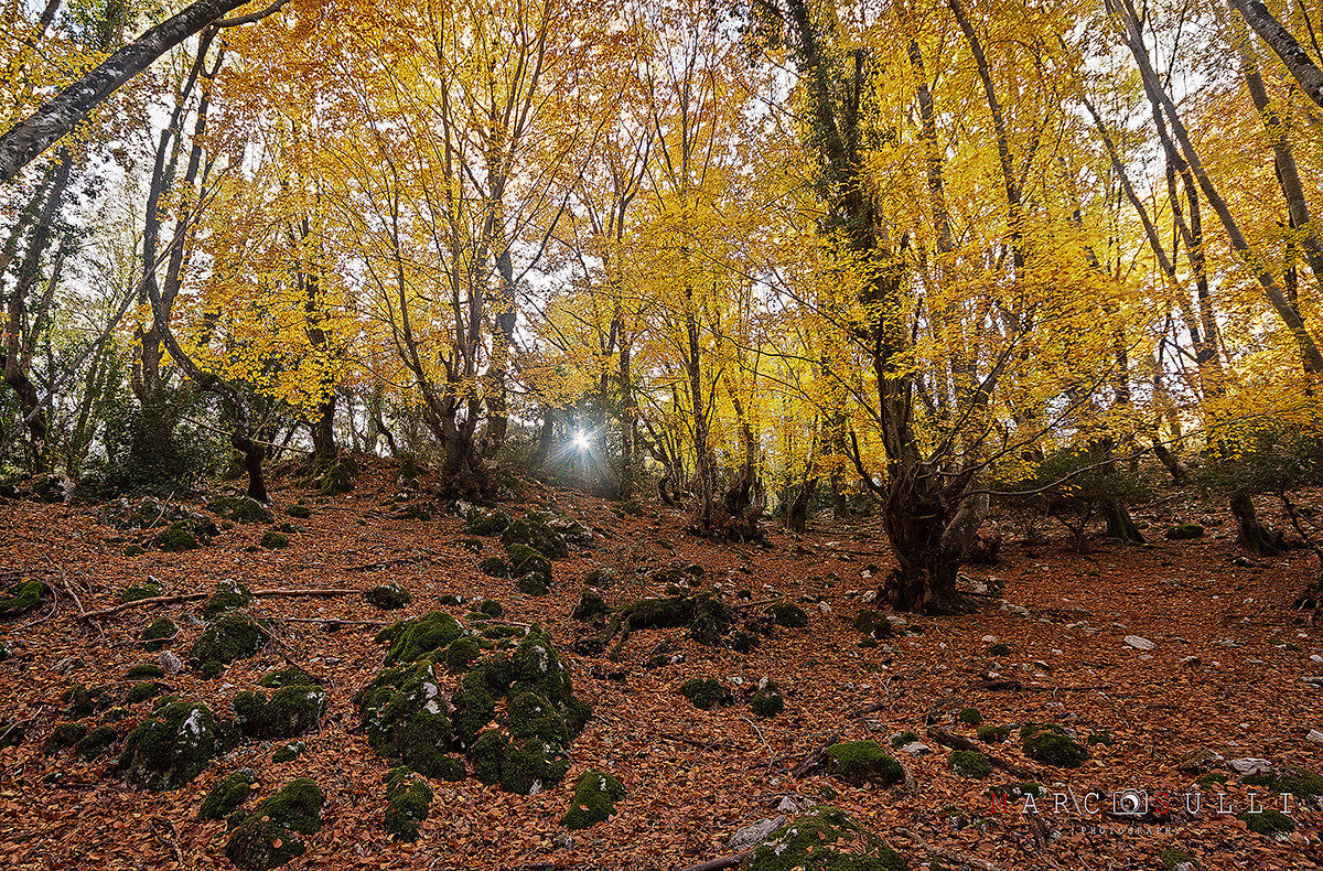 Mount Gennaro Tivoli
