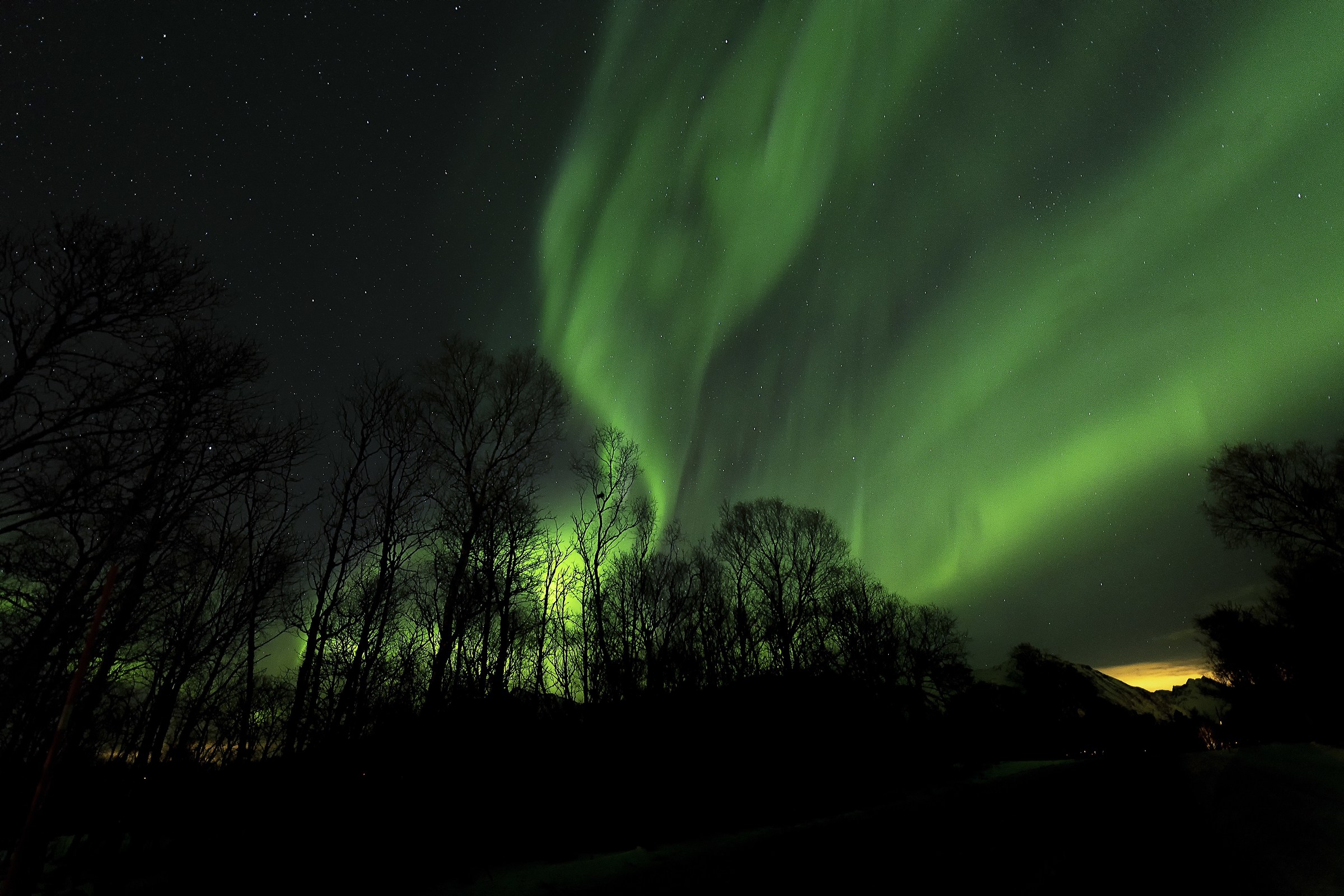 Northern Lights Hunter